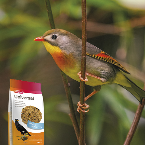 Beaphar Universalfutter, 1kg