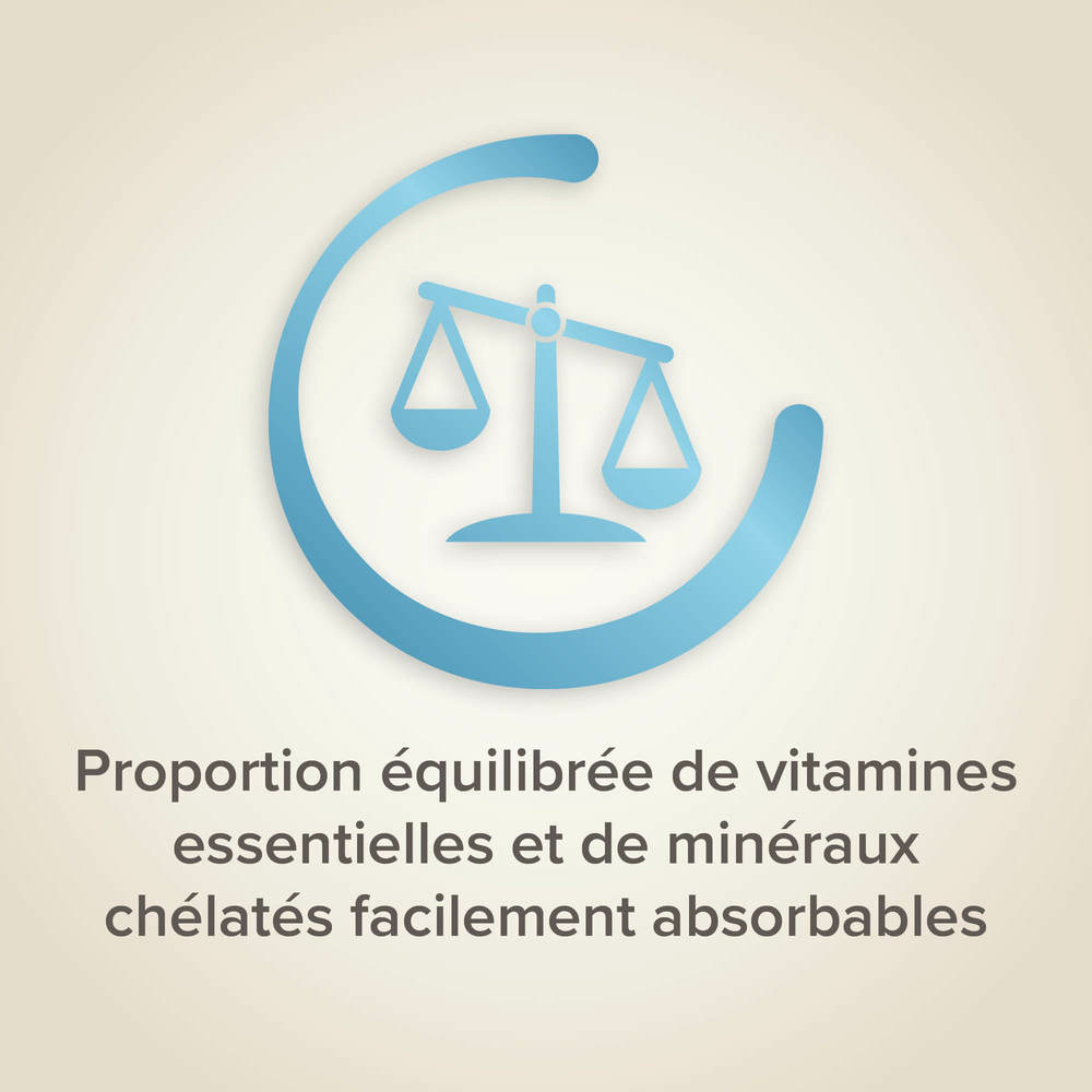 Universal, Pâtée Universelle pour Oiseaux - 1 kg