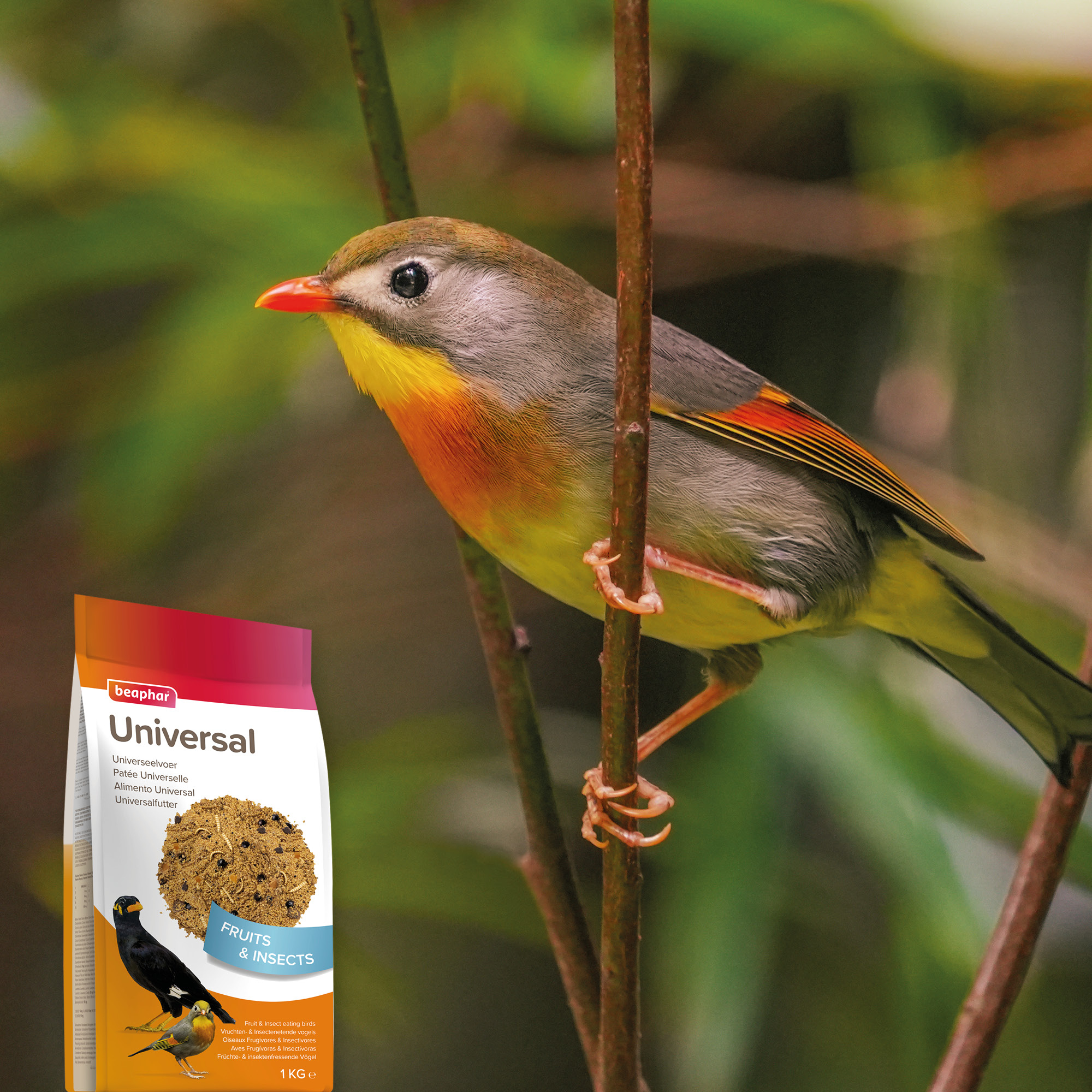 Beaphar Universeelvoer 1kg