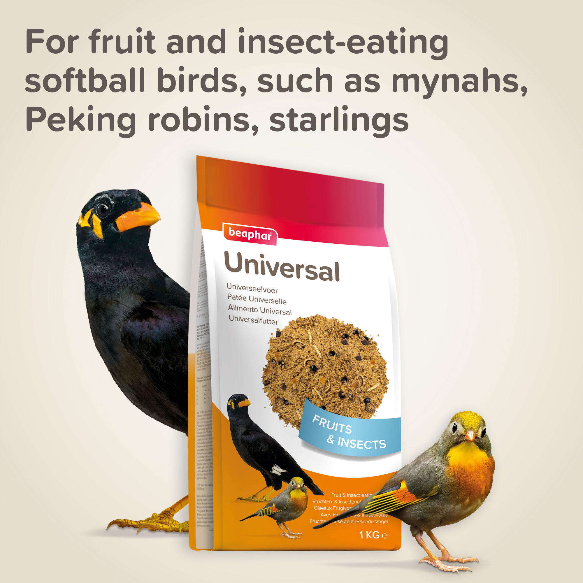Beaphar Universal Food for Softbill Birds - 1 kg