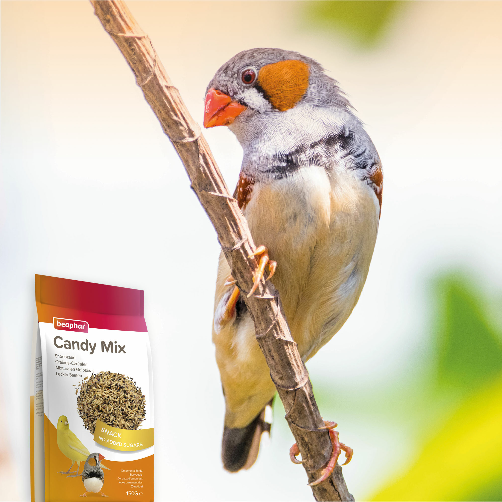 Beaphar Lecker-Saaten, 150g