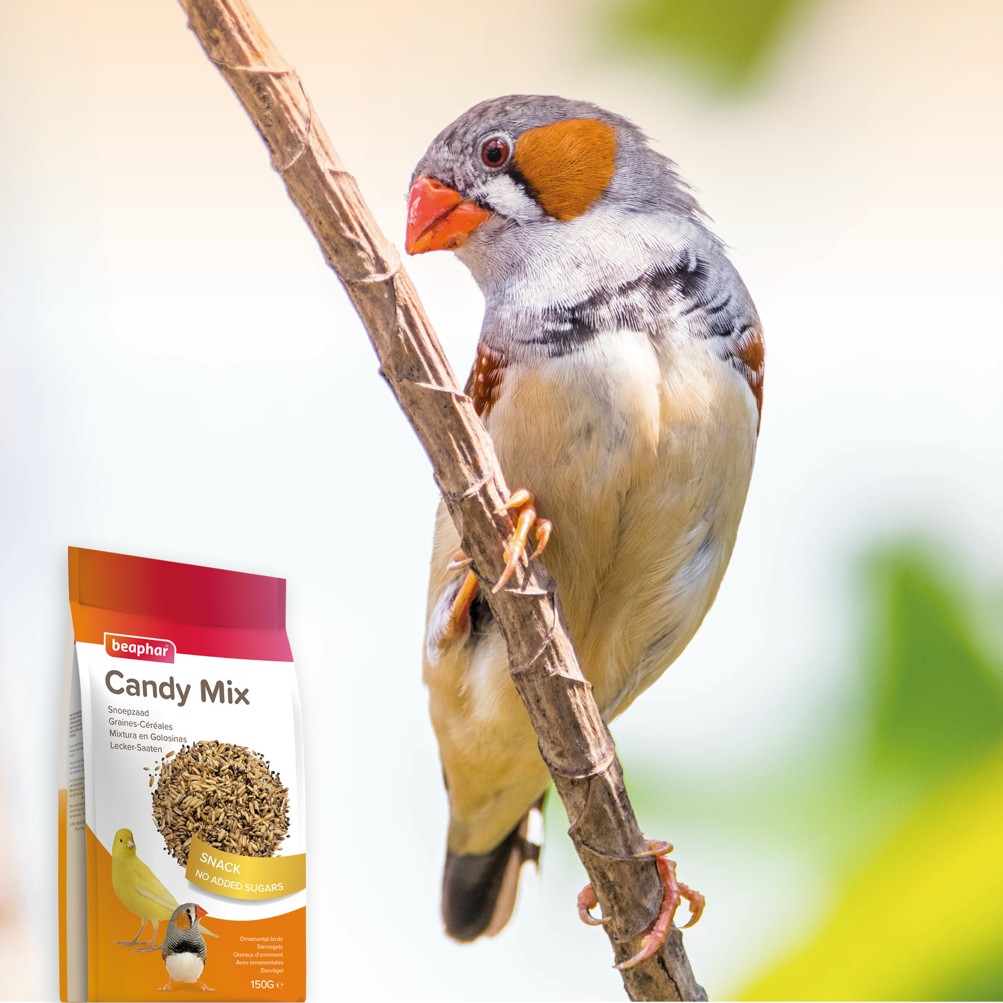 Beaphar Snoepzaad 150g