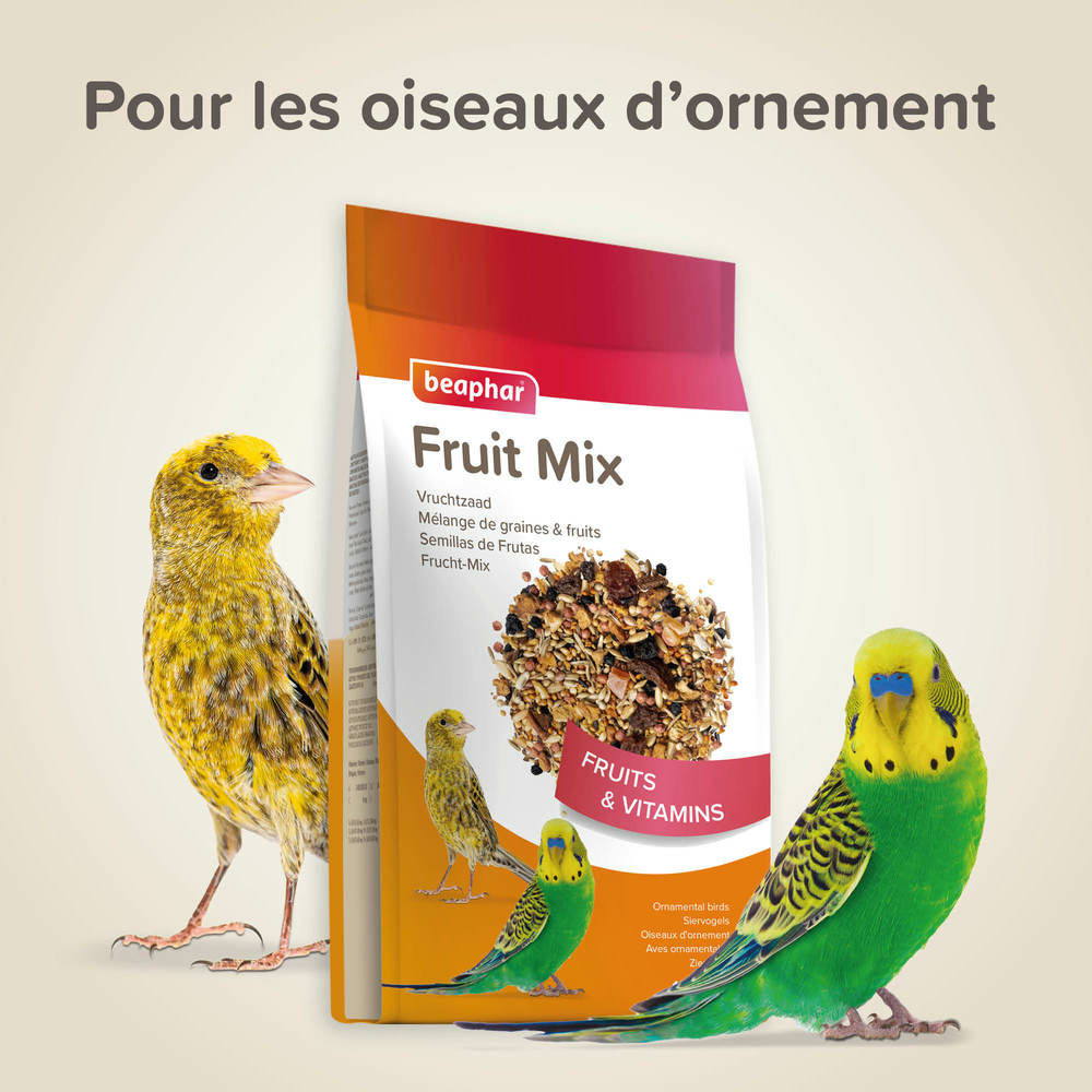 Fruit Mix, Mélange de graines et fruits pour Oiseaux d'ornements - 150 g