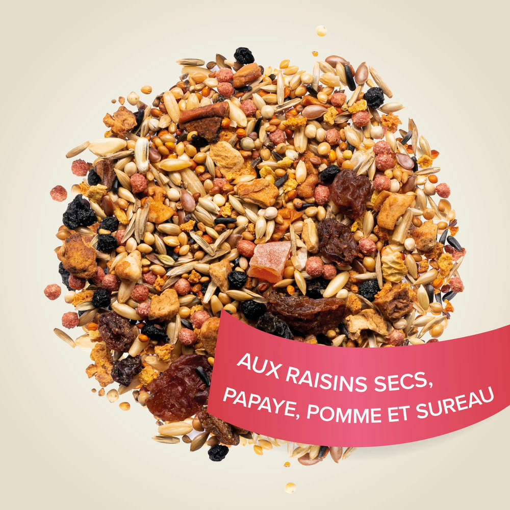 Fruit Mix, Mélange de graines et fruits pour Oiseaux d'ornements - 150 g