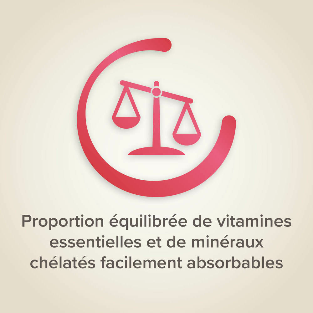 Fruit Mix, Mélange de graines et fruits pour Oiseaux d'ornements - 150 g