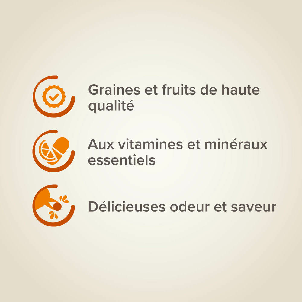Fruit Mix, Mélange de graines et fruits pour Oiseaux d'ornements - 150 g