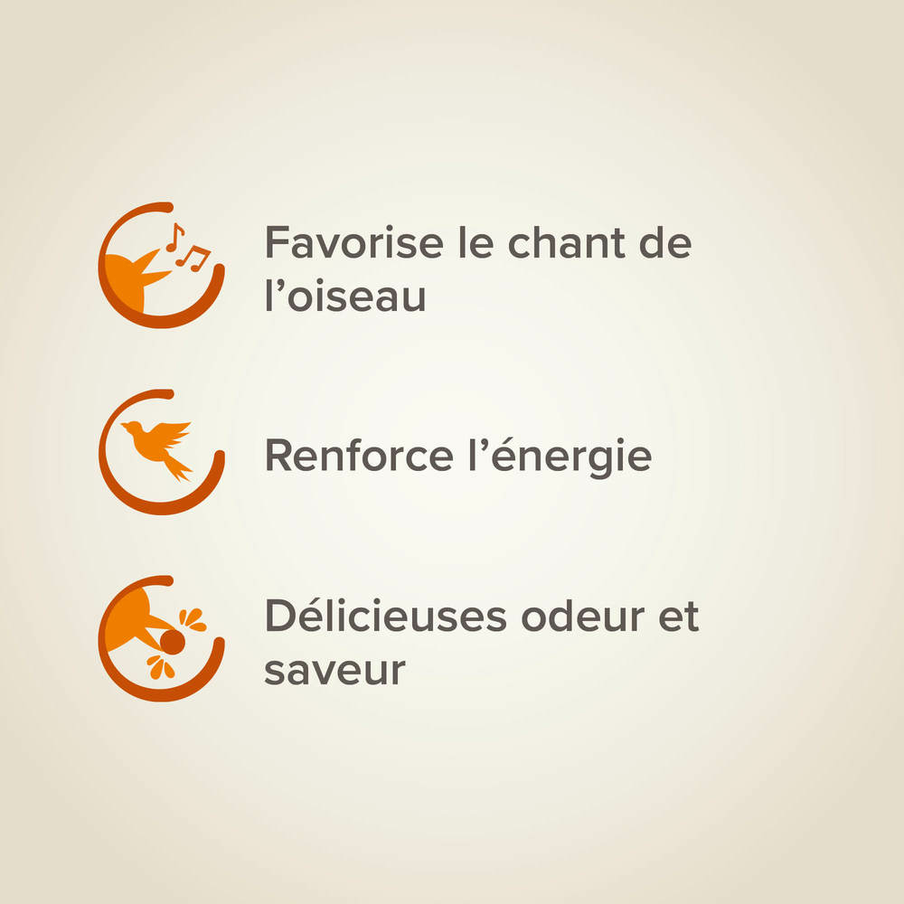 Song Mix, Mix-Chant pour canaris et autres oiseaux granivores - 150 g