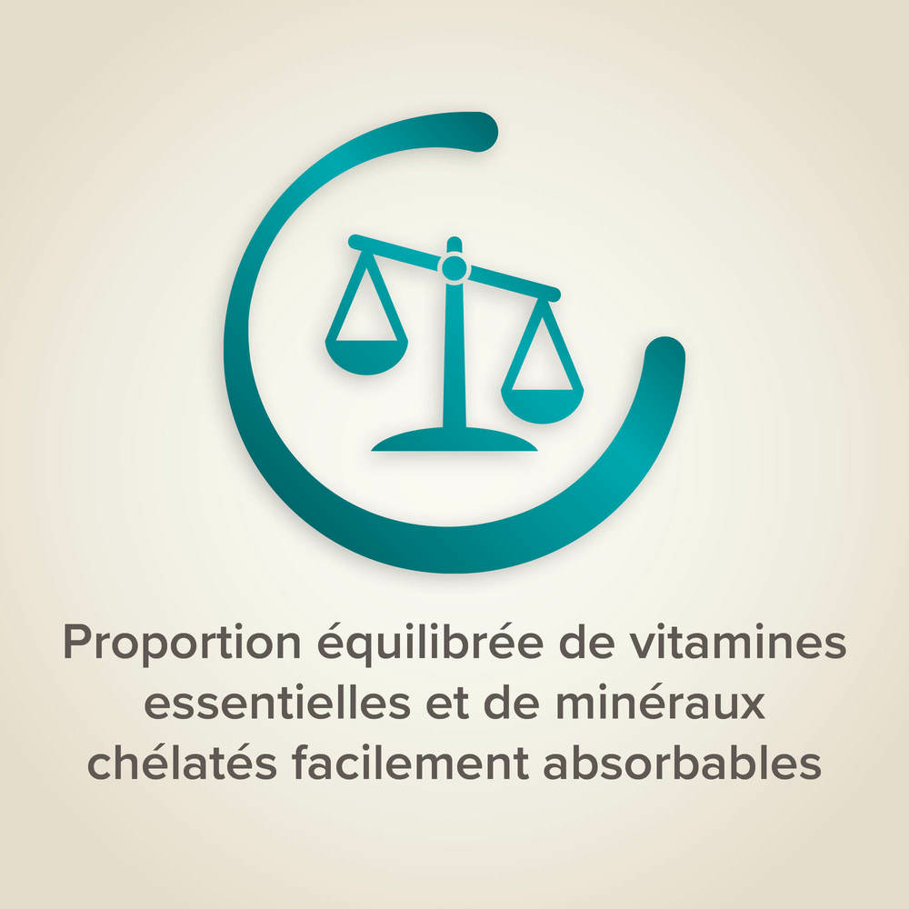 Song Mix, Mix-Chant pour canaris et autres oiseaux granivores - 150 g