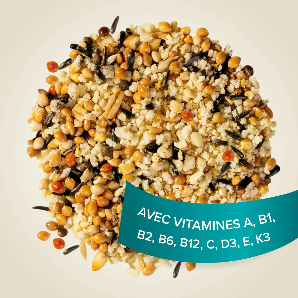 Song Mix, Mix-Chant pour canaris et autres oiseaux granivores - 150 g
