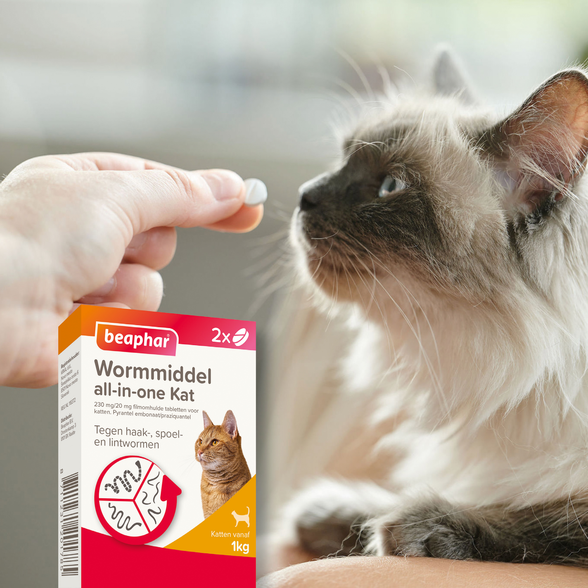 Beaphar Wormmiddel All-in-One kat 2 tabletten