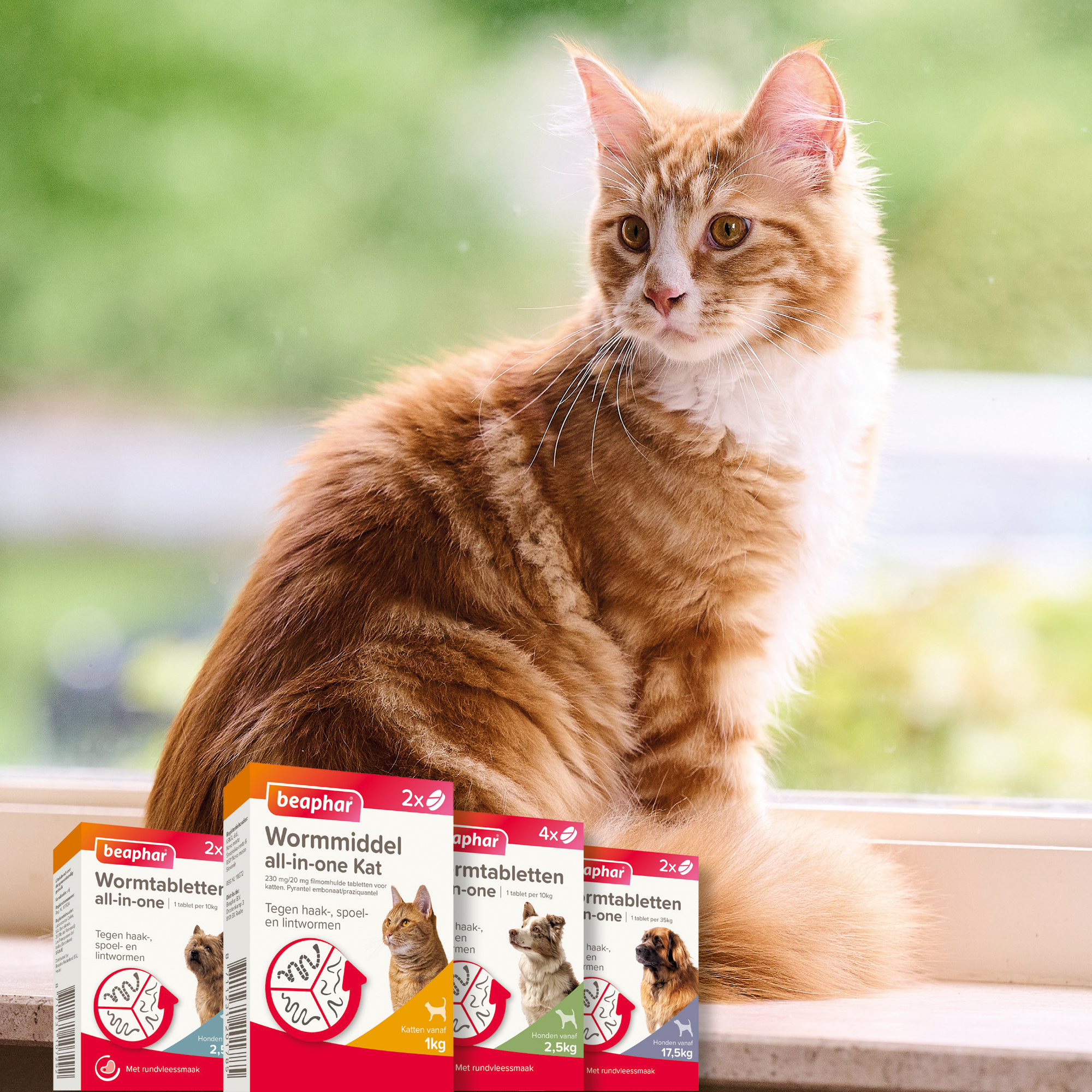 Beaphar Wormmiddel All-in-One kat 2 tabletten