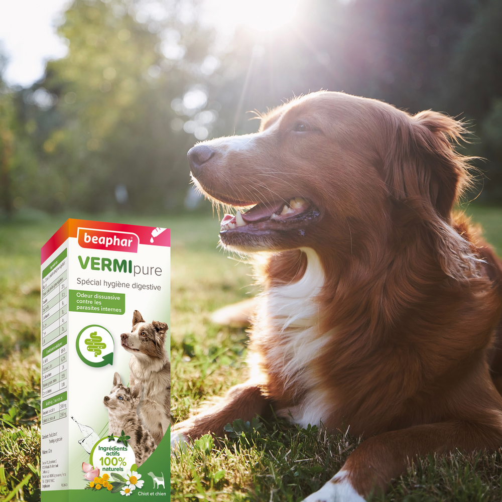 VERMIpure, Solution liquide pour chiot et chien - 50 ml