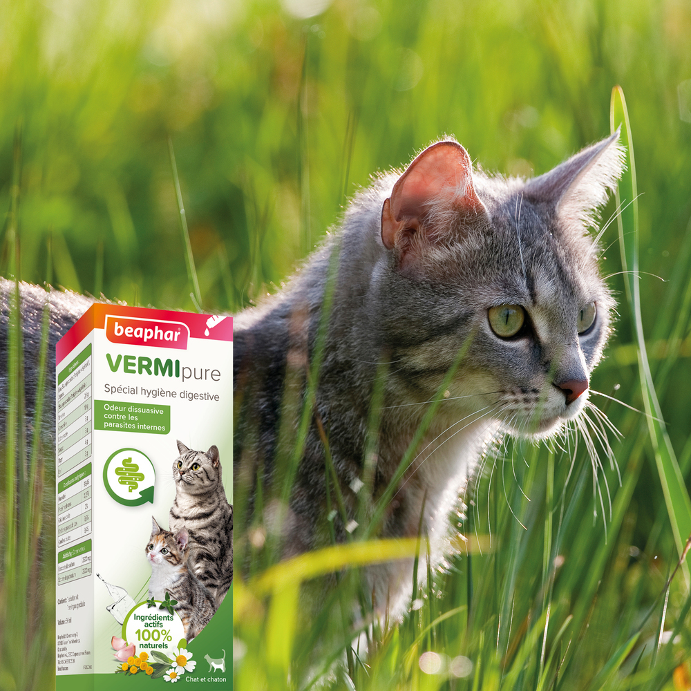 VERMIpure, Solution liquide pour chaton et chat - 50 ml