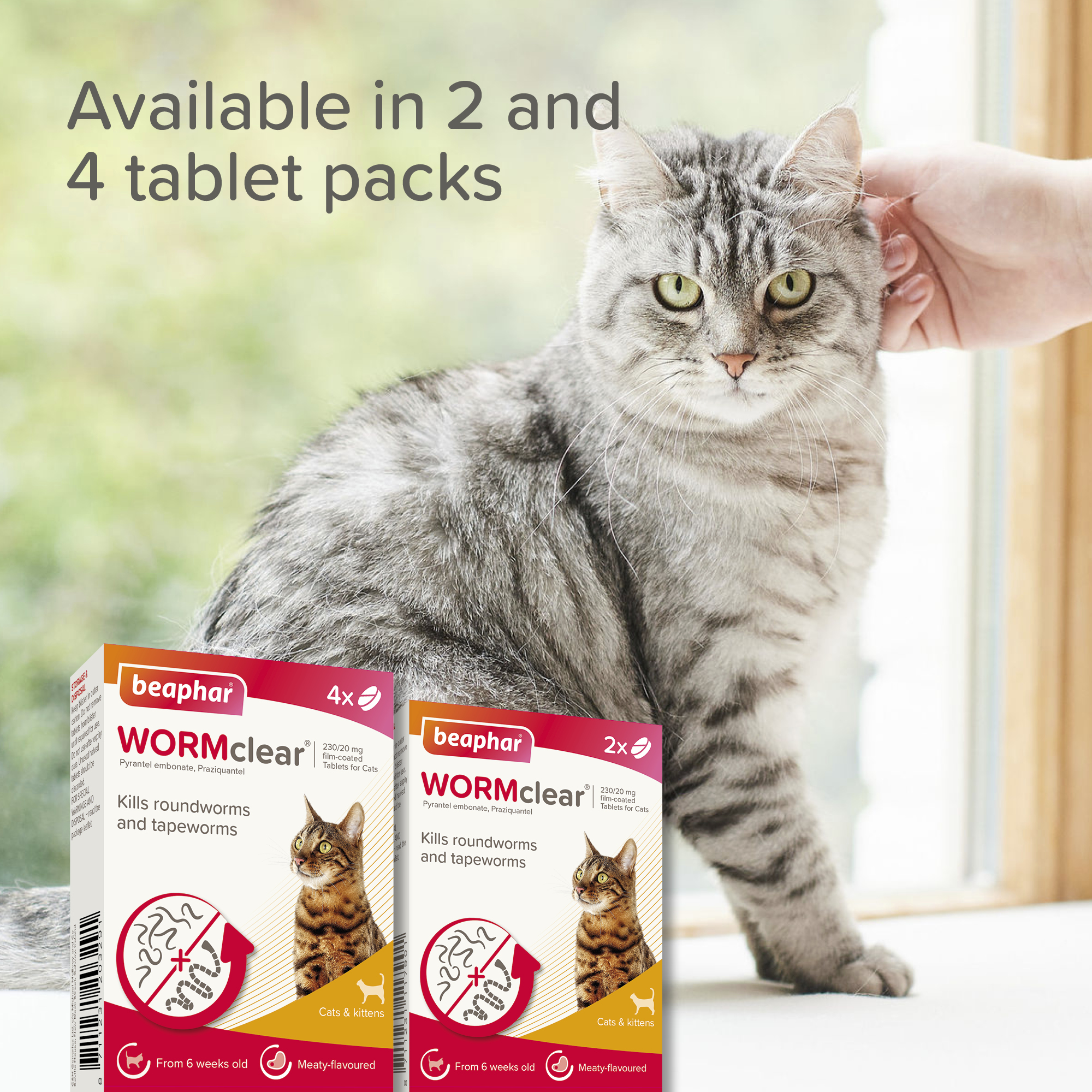 Beaphar WORMclear® Tablets for Cats - 4 Tablets