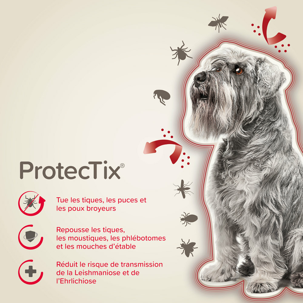 ProtecTix® 100 mg/500 mg solution pour spot-on pour chiens pesant entre 4 et 10 kg