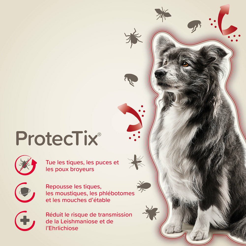 ProtecTix® 250 mg/1250 mg solution pour spot-on pour chiens pesant entre 10 et 25 kg