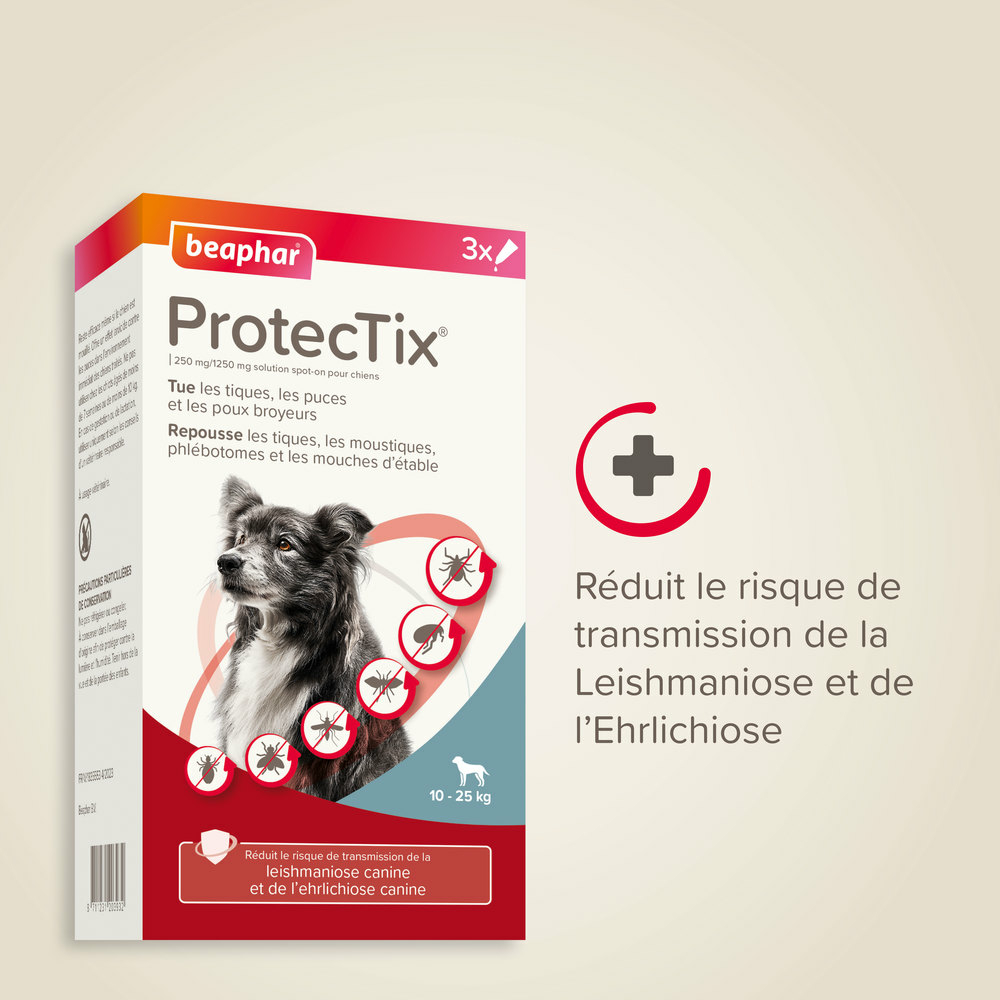 ProtecTix® 250 mg/1250 mg solution pour spot-on pour chiens pesant entre 10 et 25 kg