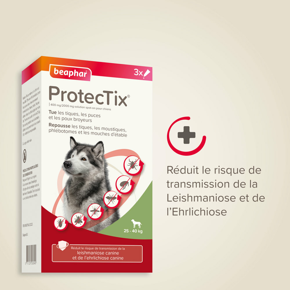 ProtecTix® 400 mg/2000 mg solution pour spot-on pour chiens pesant entre 25 et 40 kg