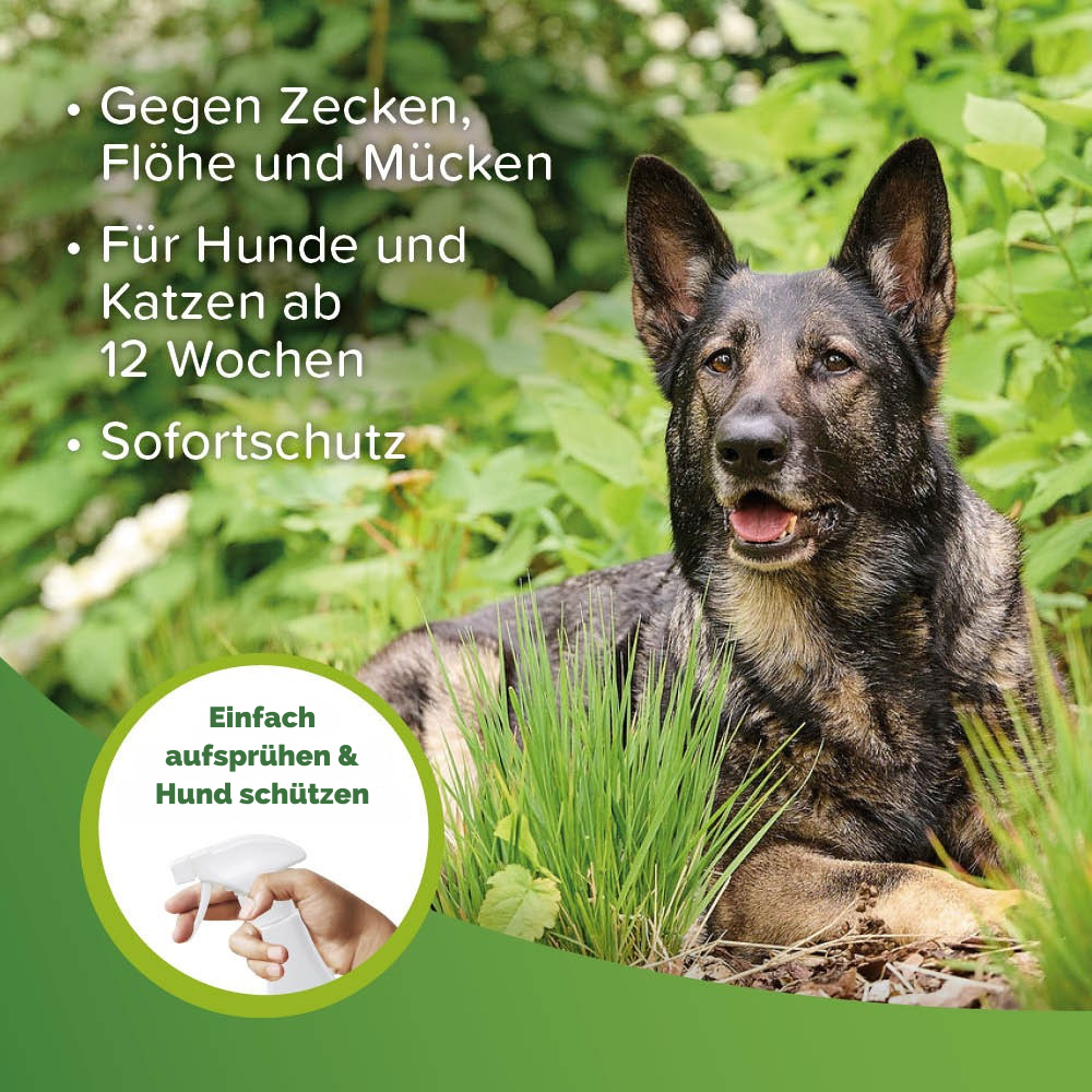 Beaphar Zecken- und Flohschutz Spray, 500ml