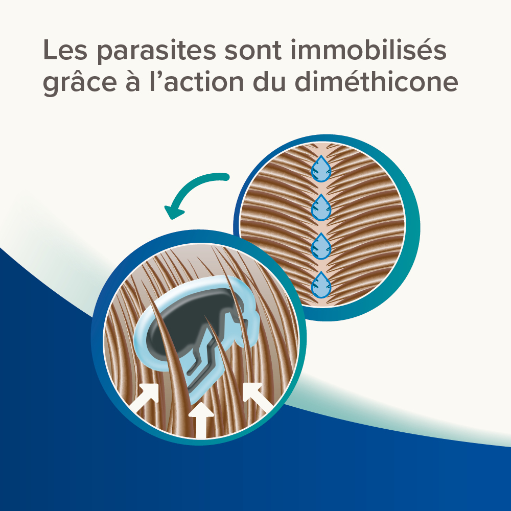 DIMÉTHICARE Spray Stop Parasites pour Chien et Chat - 500ml