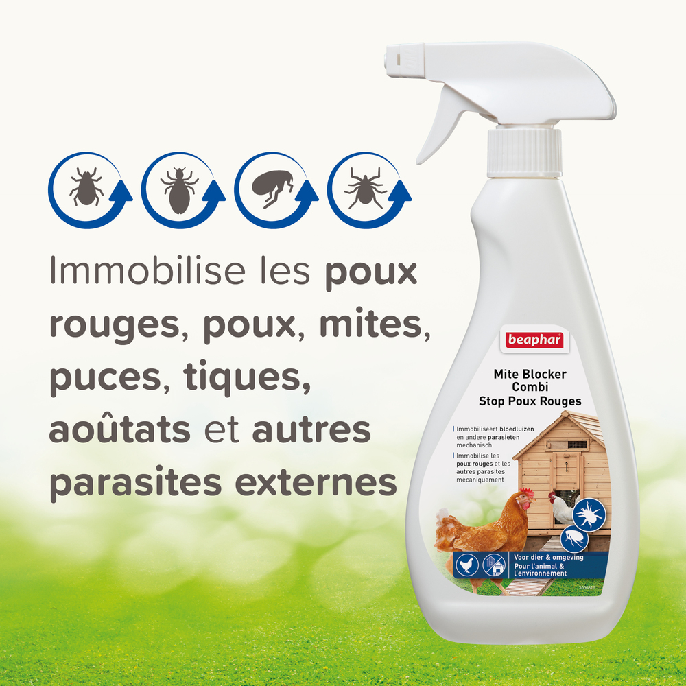 Stop poux rouges - 500 ml