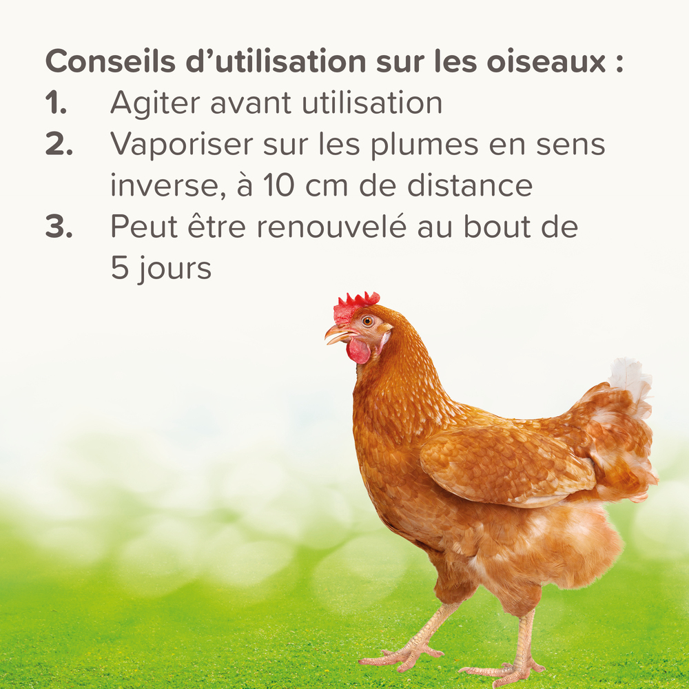 Stop poux rouges - 500 ml