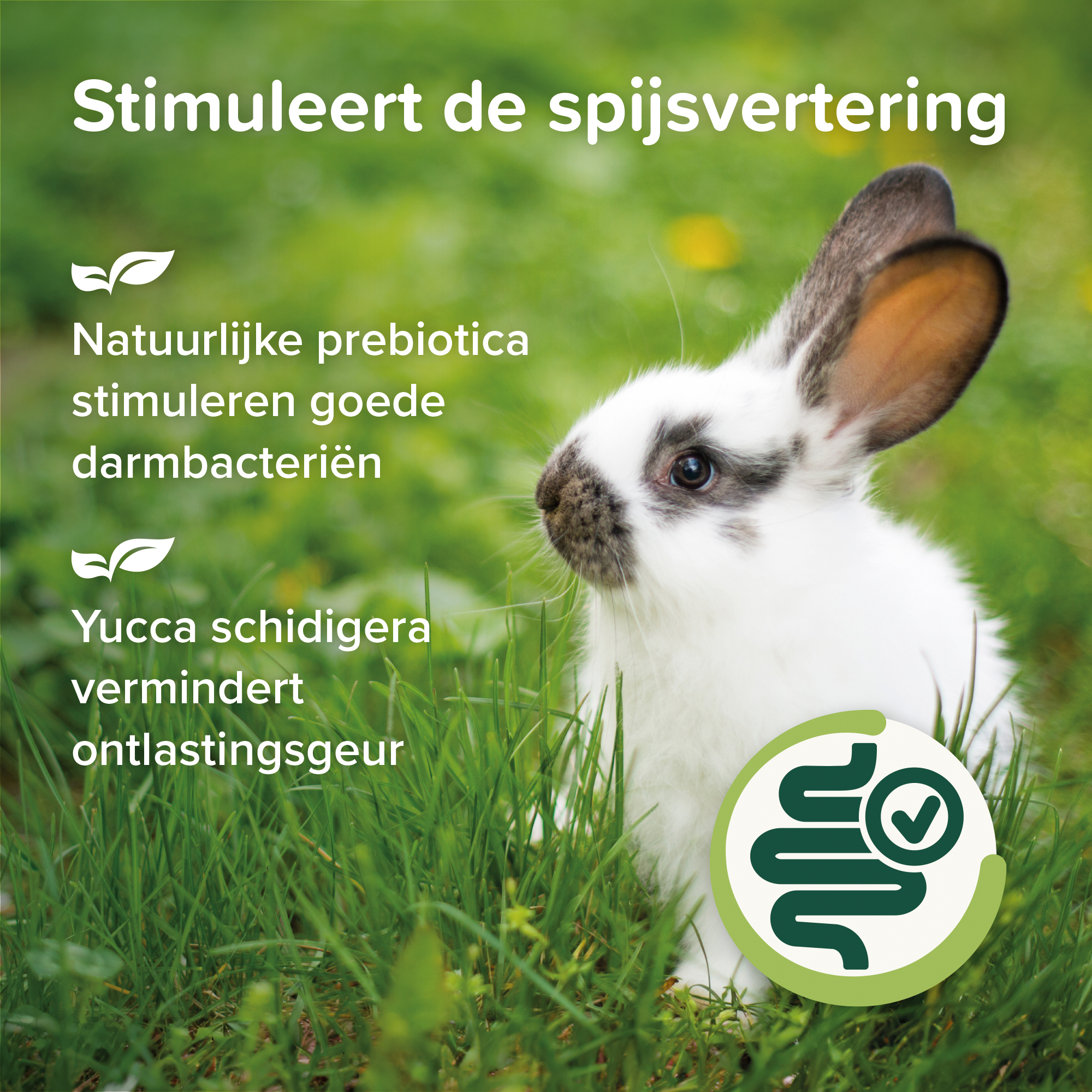 Beaphar Care+ Nature Konijn 1,5kg