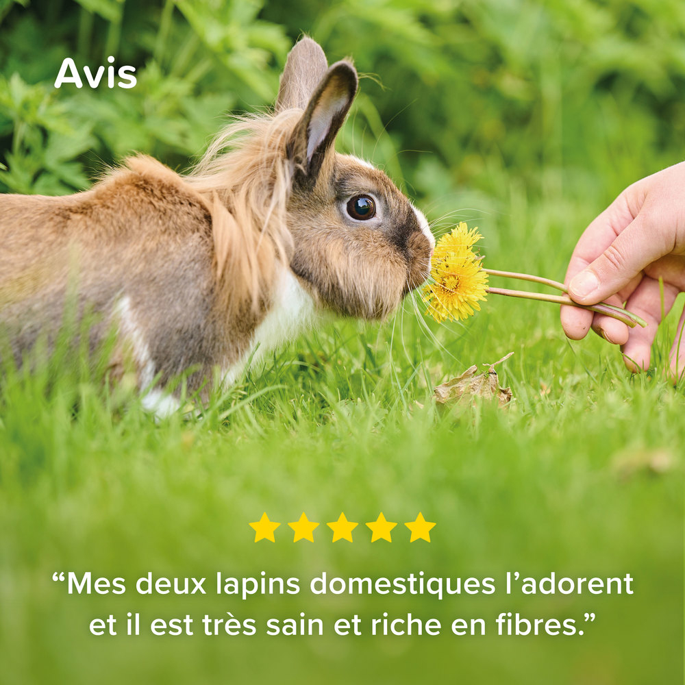 Care+® Nature, Aliment Premium pour Lapin - 1,5 kg