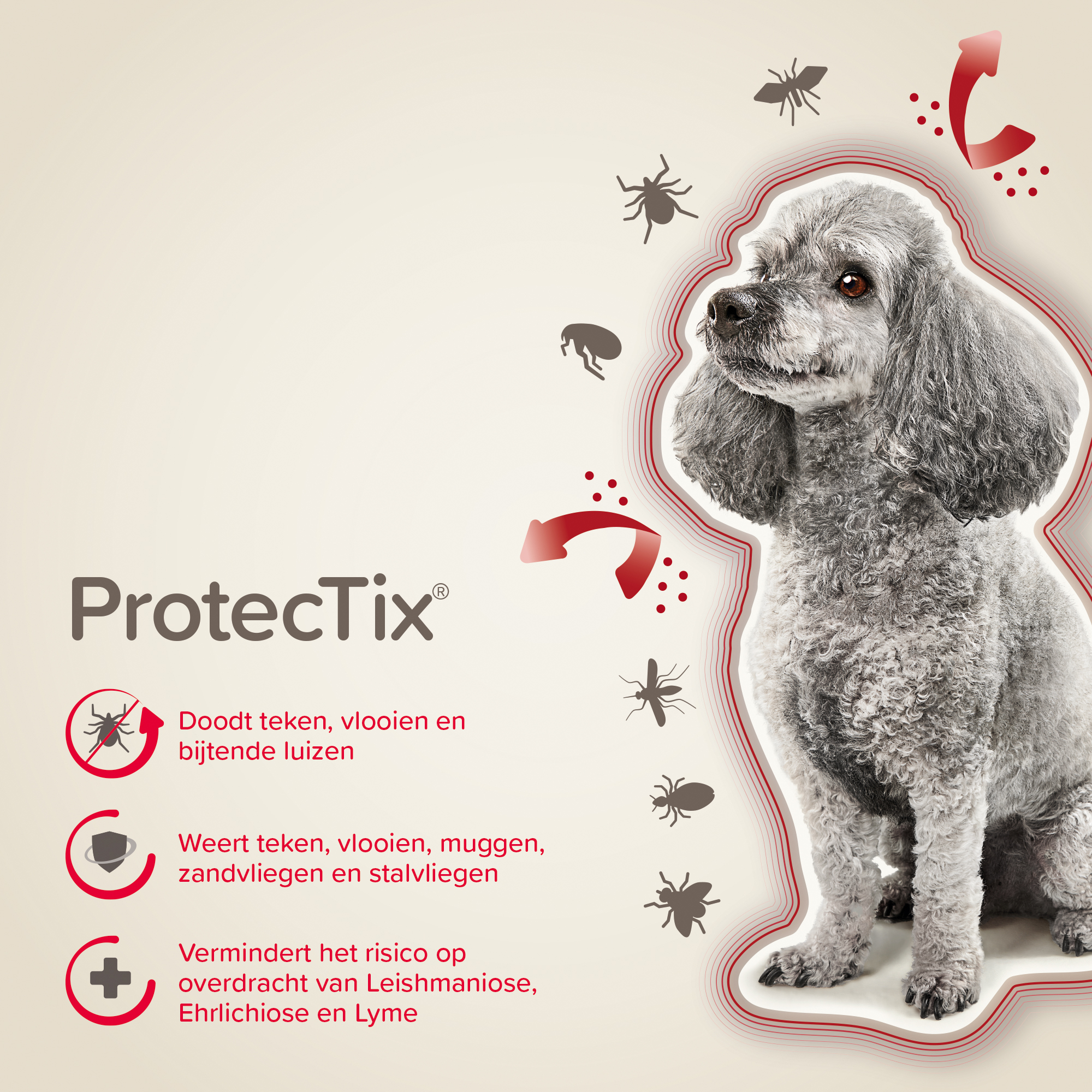 Beaphar ProtecTix® hond tot 4kg 4 pipetten
