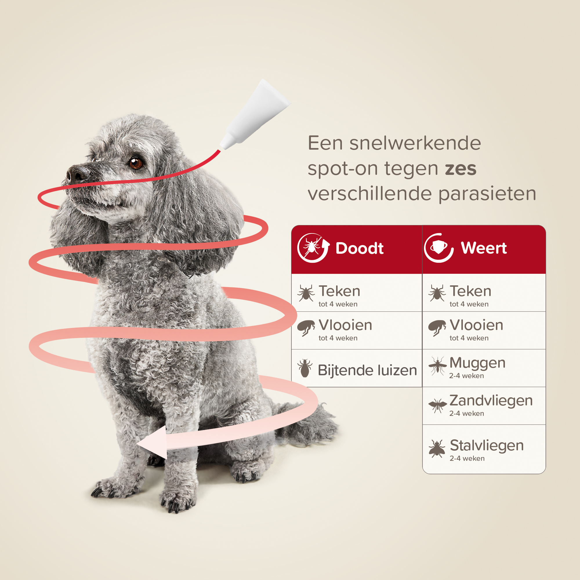 Beaphar ProtecTix® hond tot 4kg 4 pipetten