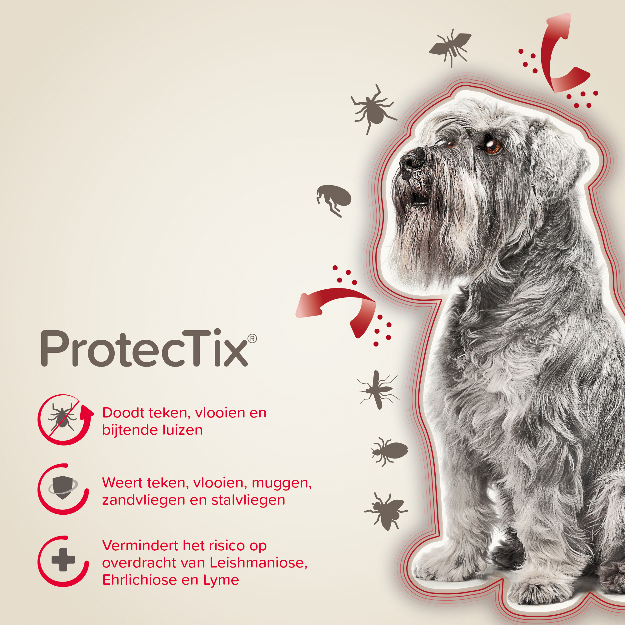 Beaphar ProtecTix® hond 4-10kg 4 pipetten