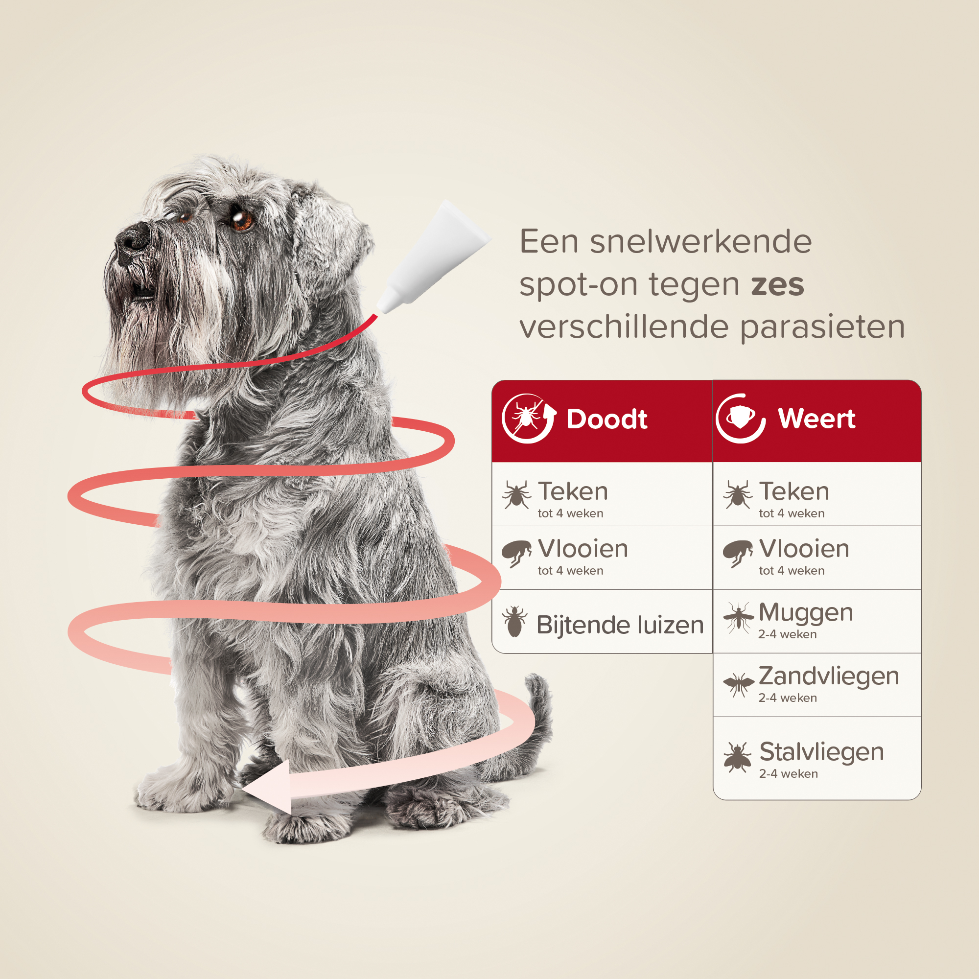 Beaphar ProtecTix® hond 4-10kg 4 pipetten