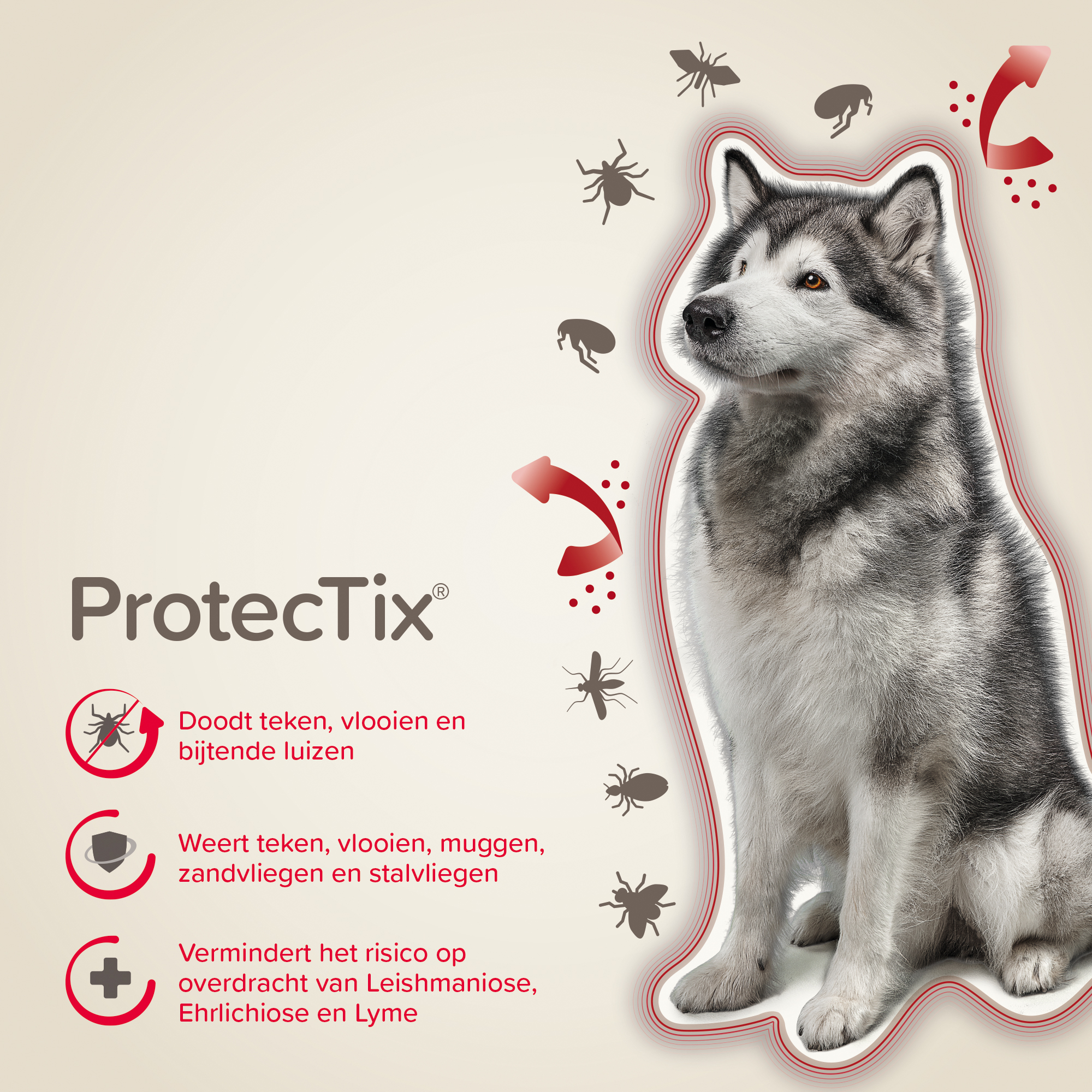 Beaphar ProtecTix® hond 25-40kg 4 pipetten