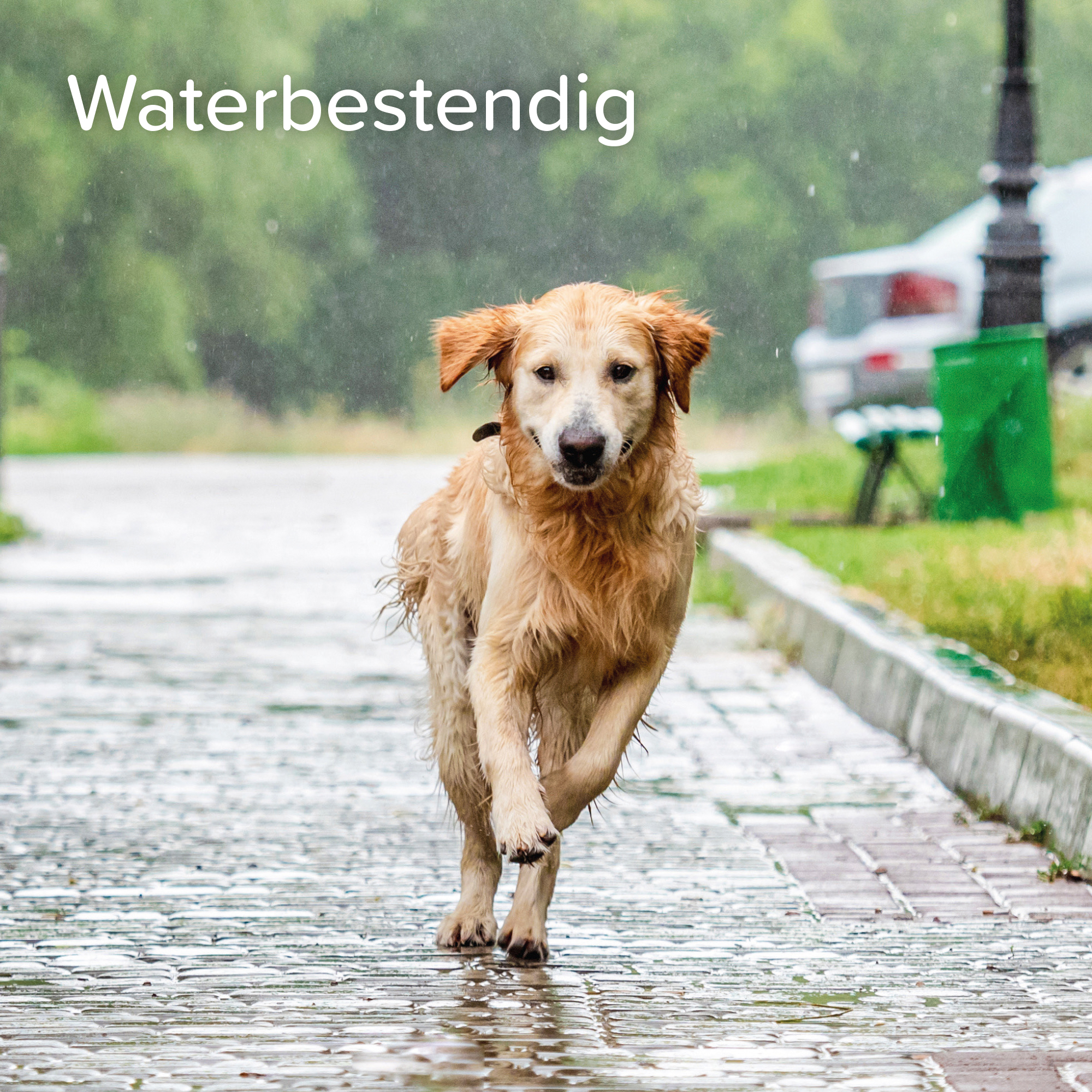 Beaphar ProtecTix® hond 25-40kg 4 pipetten