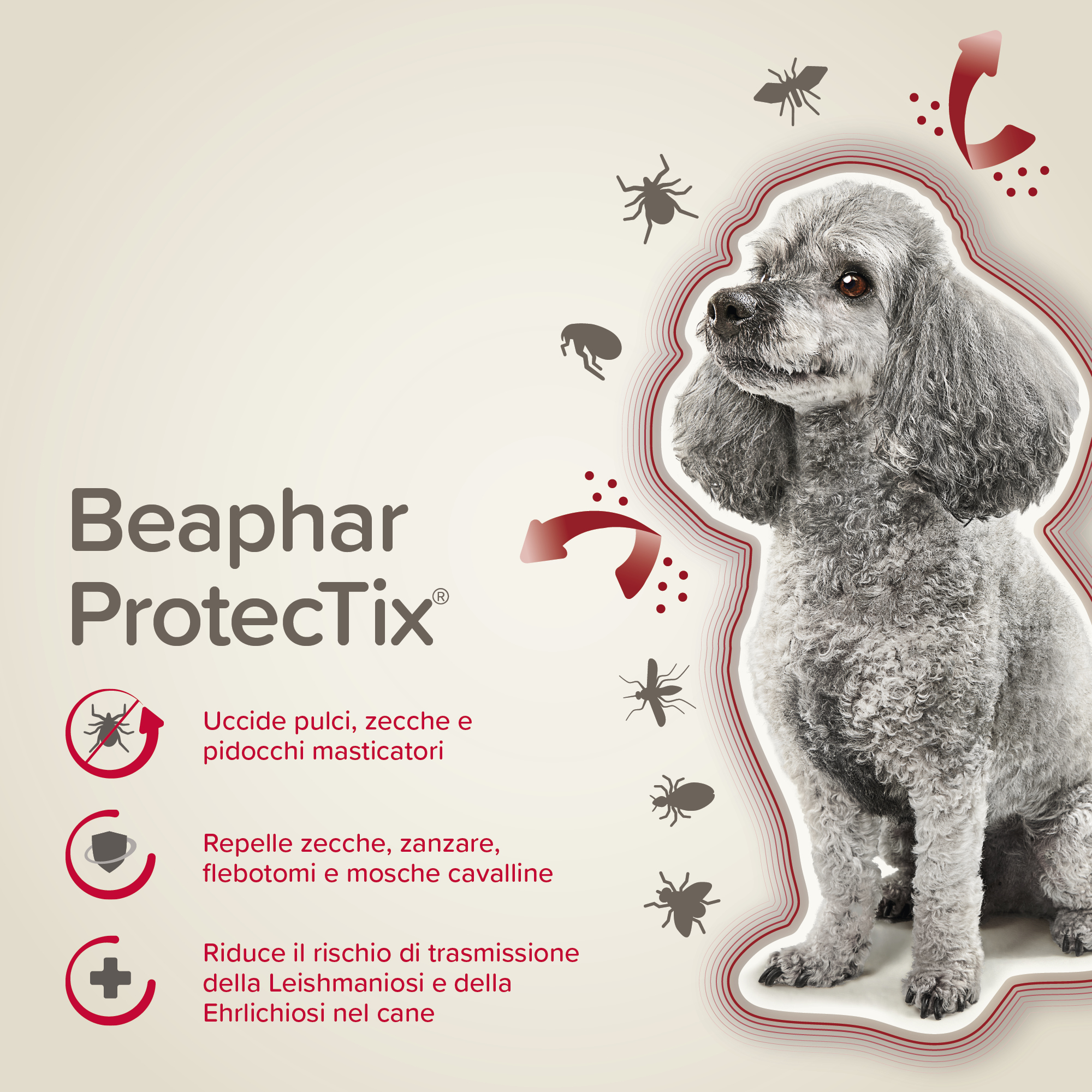 Beaphar ProtecTix Cane Molto Piccolo 4 pip.
