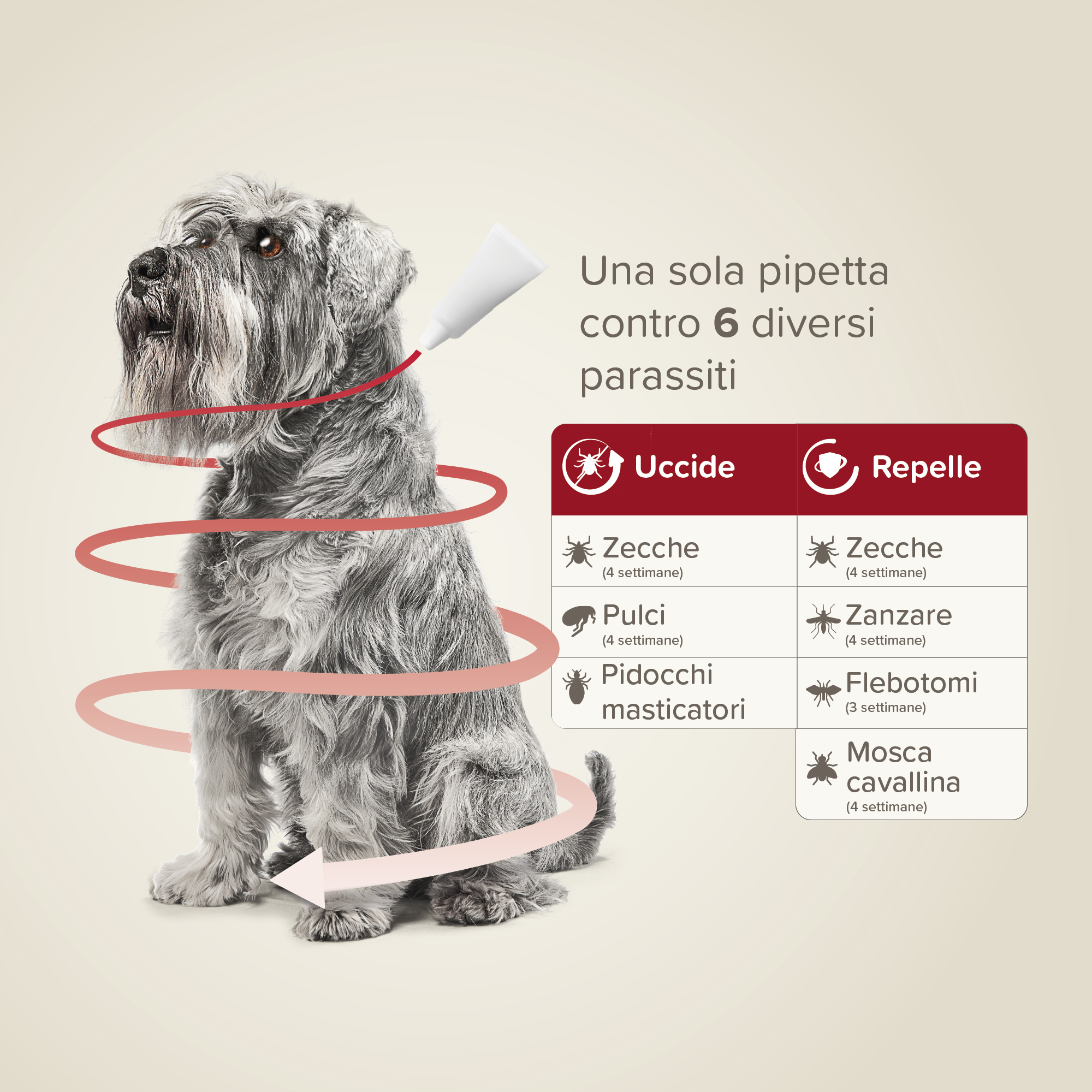 Beaphar ProtecTix Cane Piccolo 4 pip.