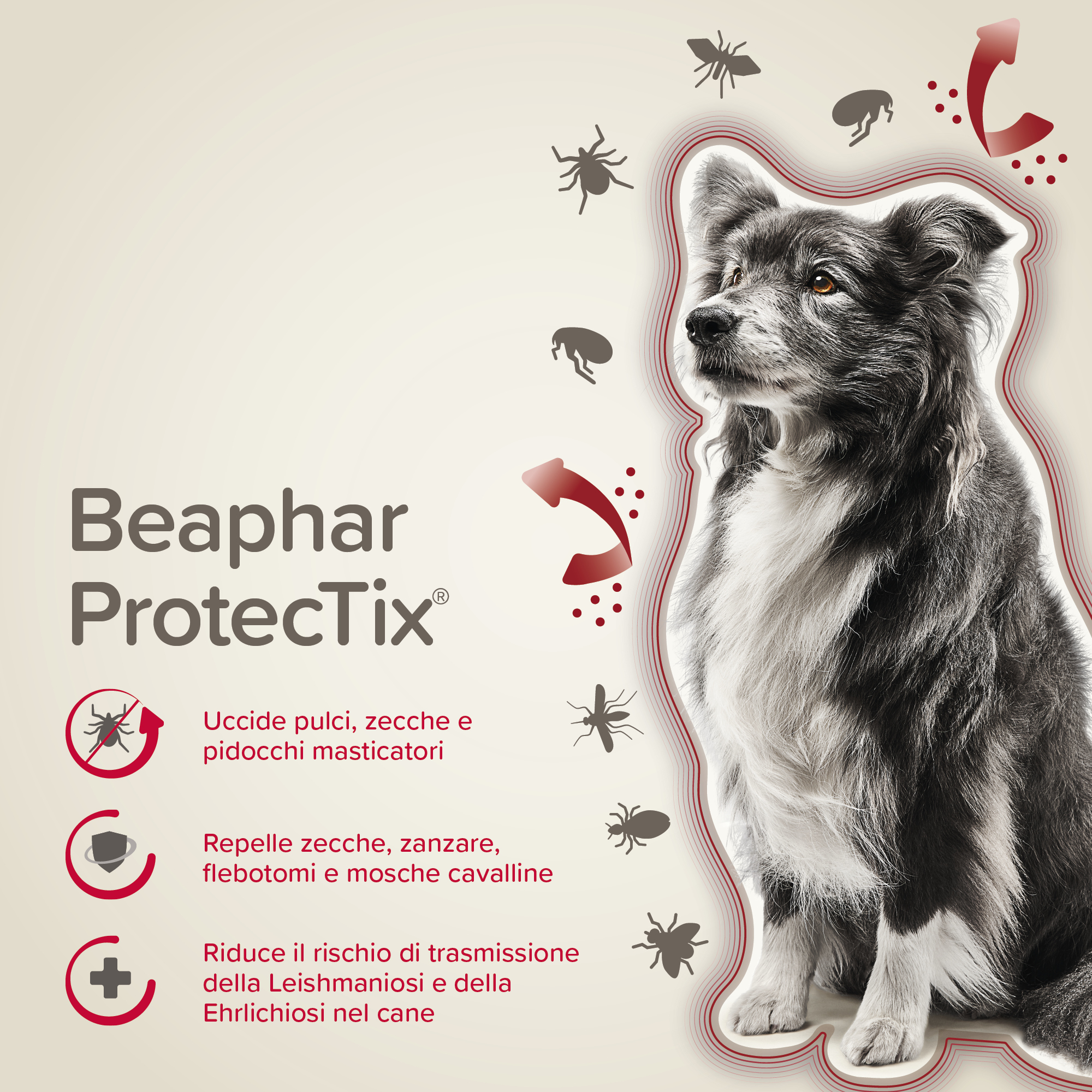 Beaphar ProtecTix Cane Medio 4 pip.