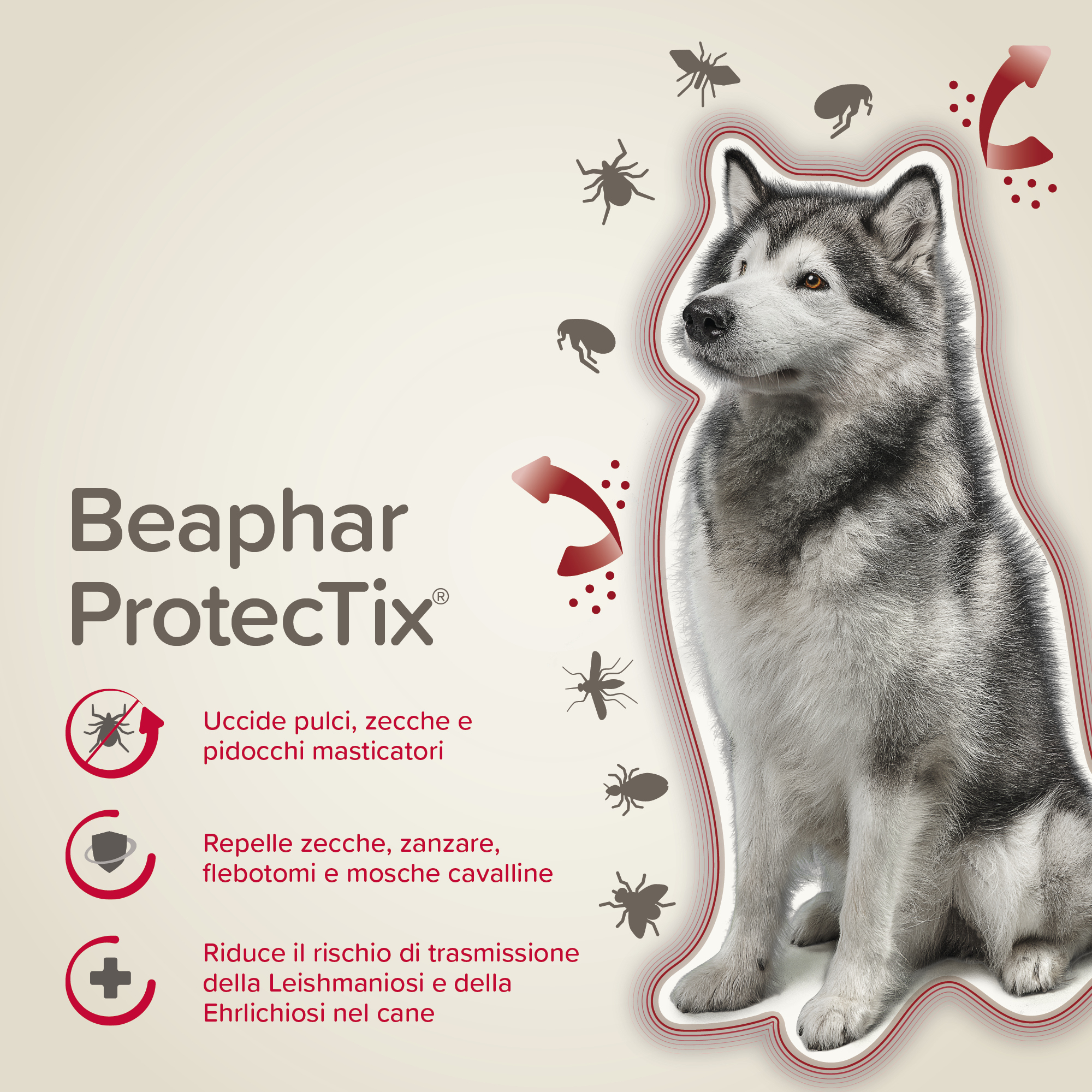 Beaphar ProtecTix Grande 4 pip.