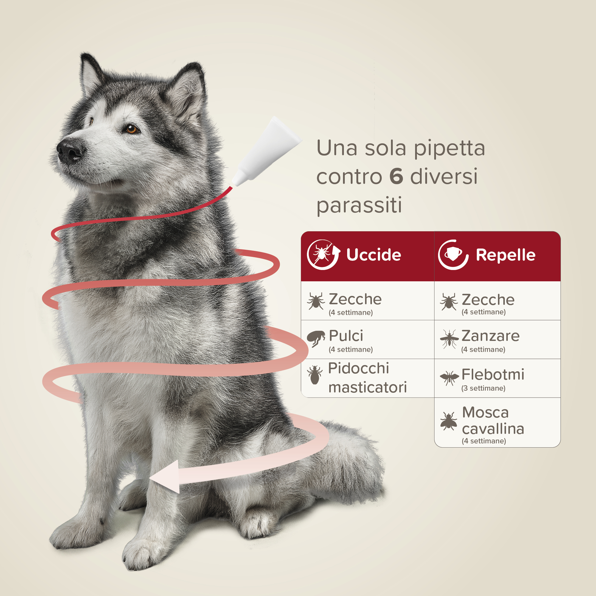 Beaphar ProtecTix Grande 4 pip.