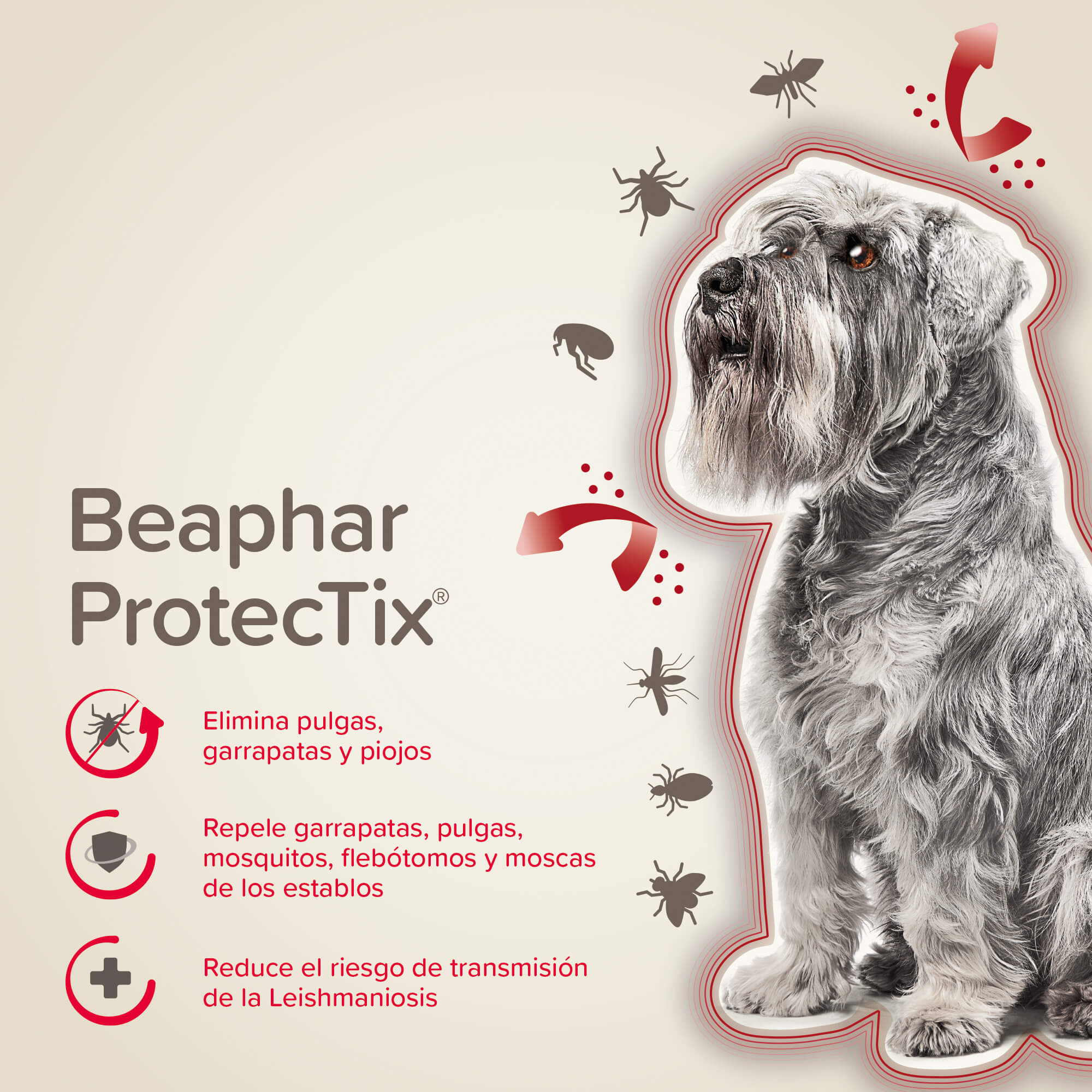 Beaphar ProtecTix® Pipetas Perros S (4-10KG)