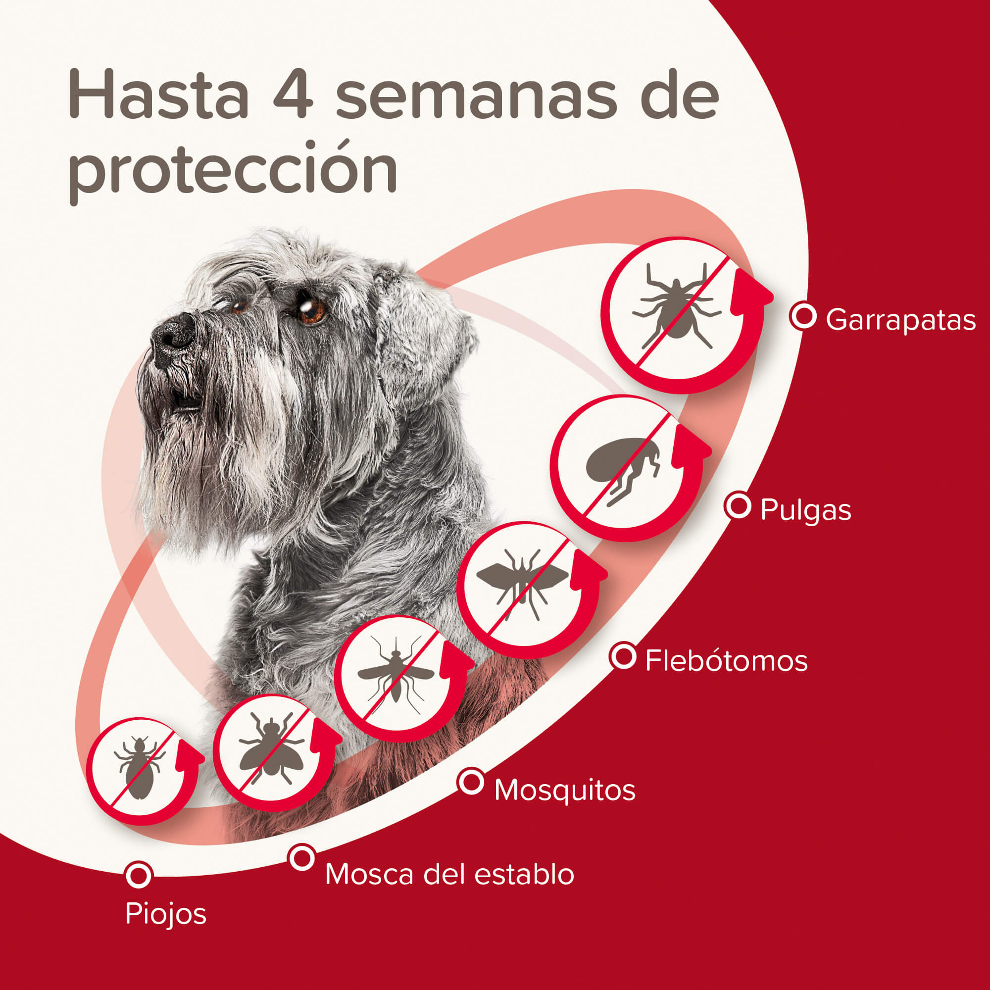 Beaphar ProtecTix® Pipetas Perros S (4-10KG)