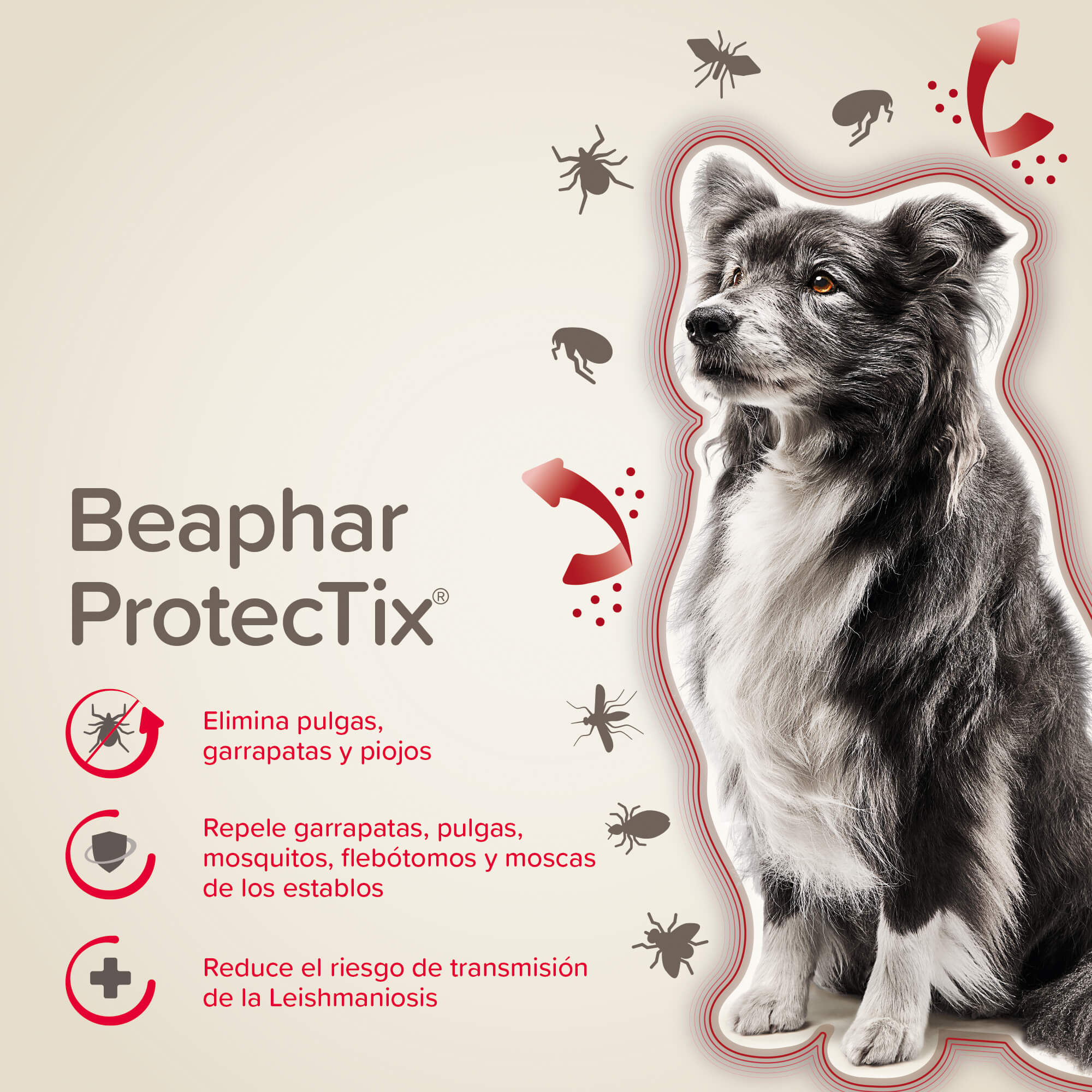 Beaphar ProtecTix® Pipetas Perros M (10-25KG)