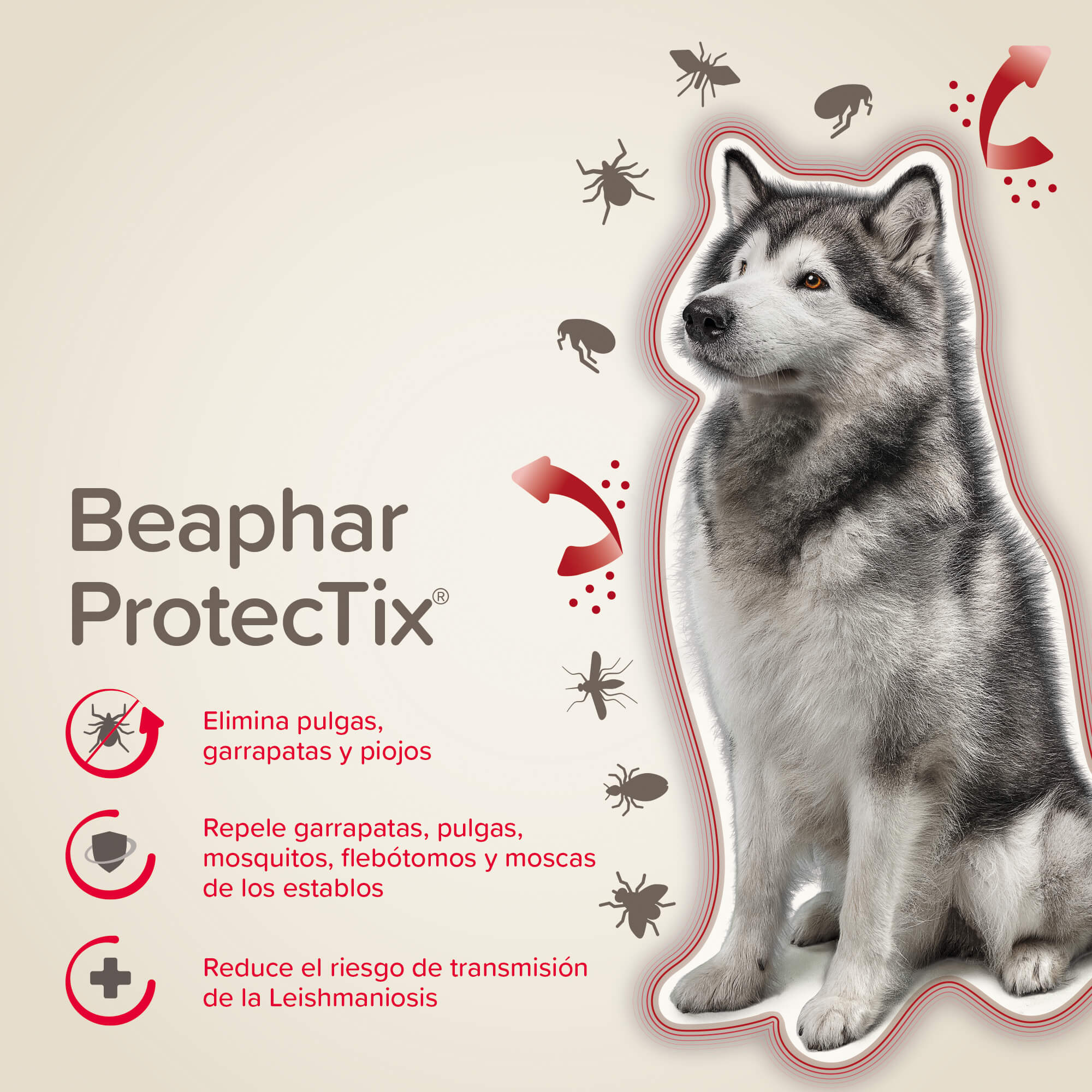 PROTECTIX PIPETAS PERROS L (25-40KG)