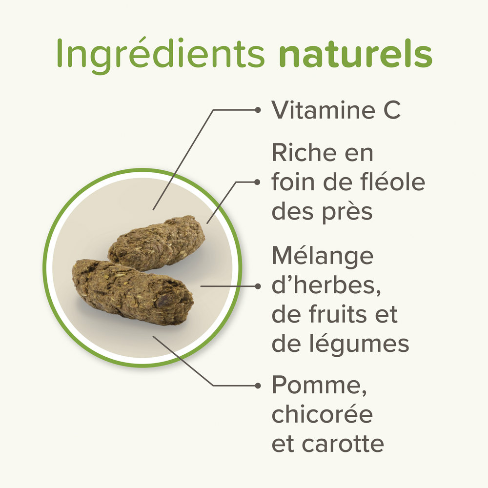 Care+® Nature, Aliment Premium pour Cochon d'Inde - 1,5 kg