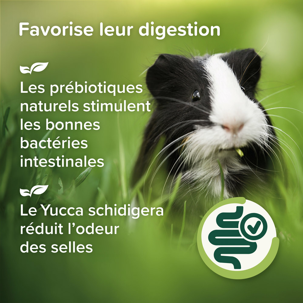 Care+® Nature, Aliment Premium pour Cochon d'Inde - 1,5 kg