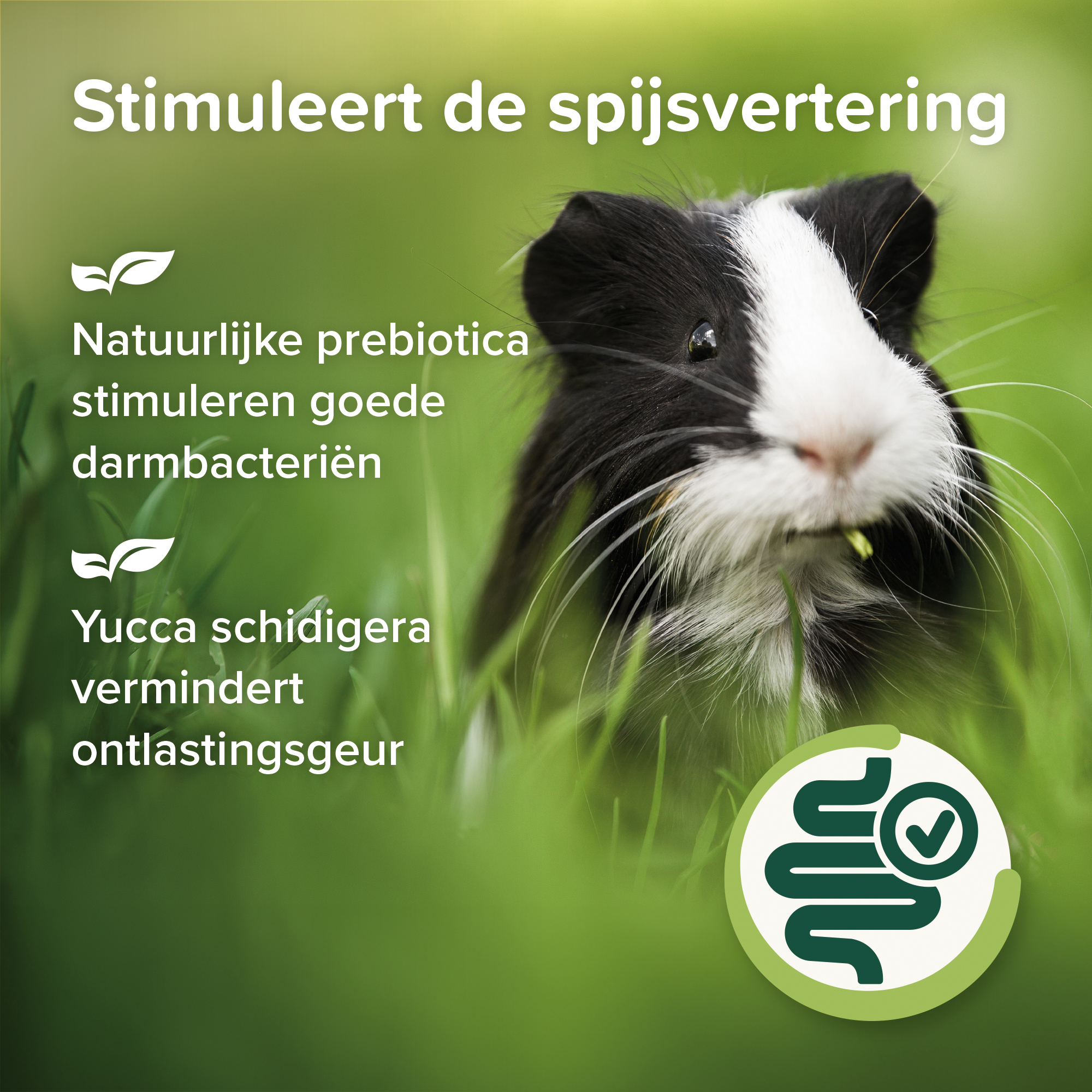 Beaphar Care+ Nature Cavia 1,5kg