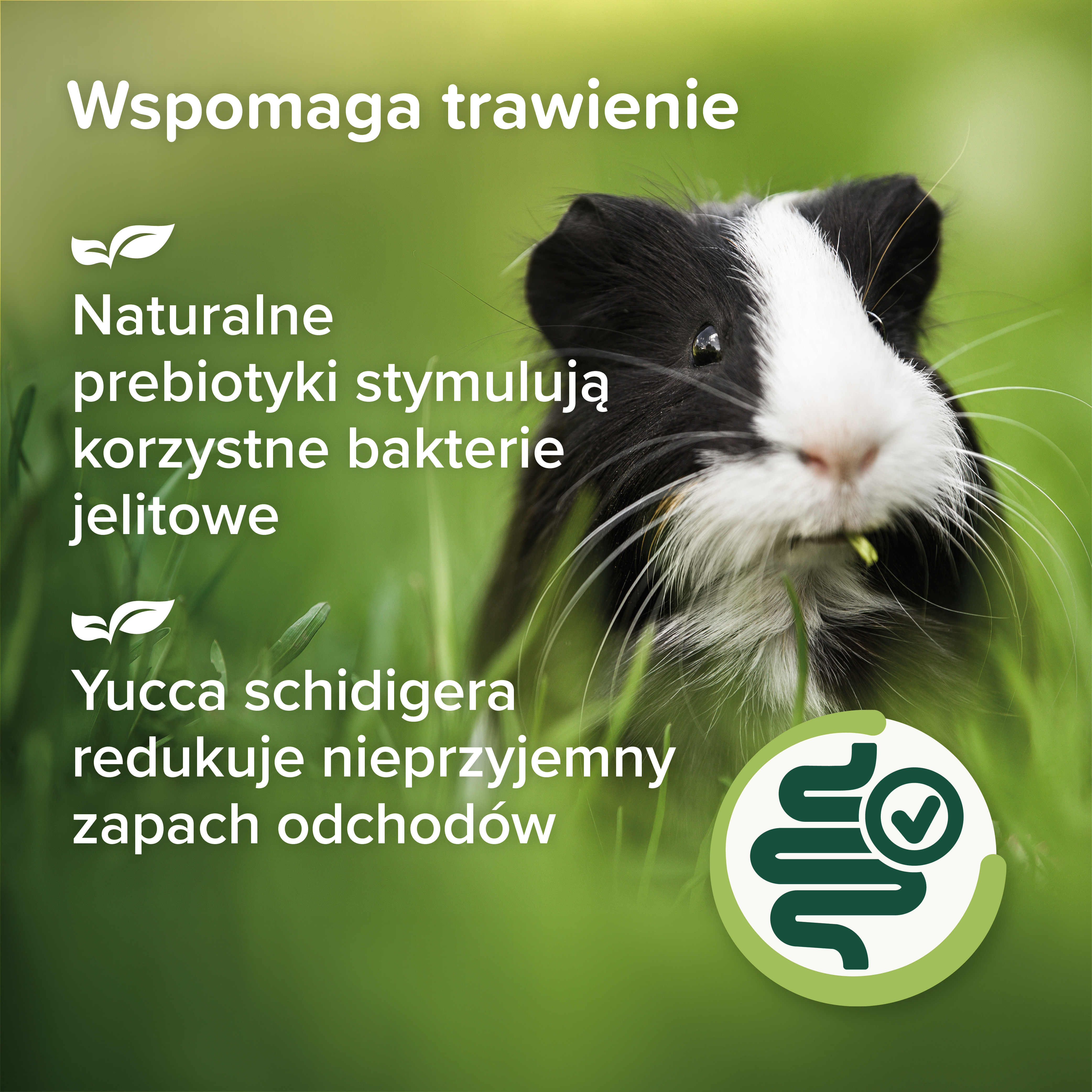 Care+ Nature karma dla świnek morskich 1,5 kg