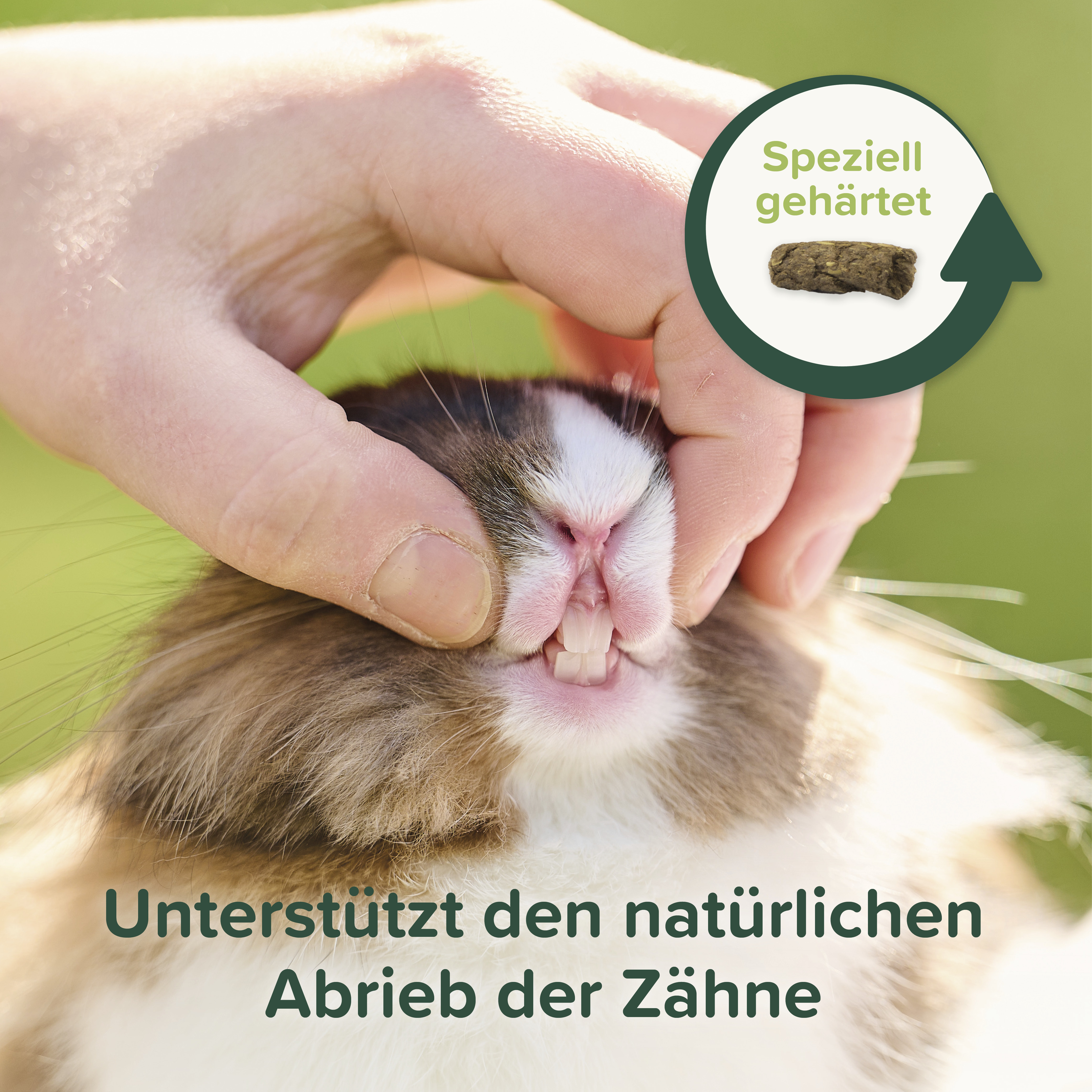 Care+ Nature Kaninchen, 1,5kg