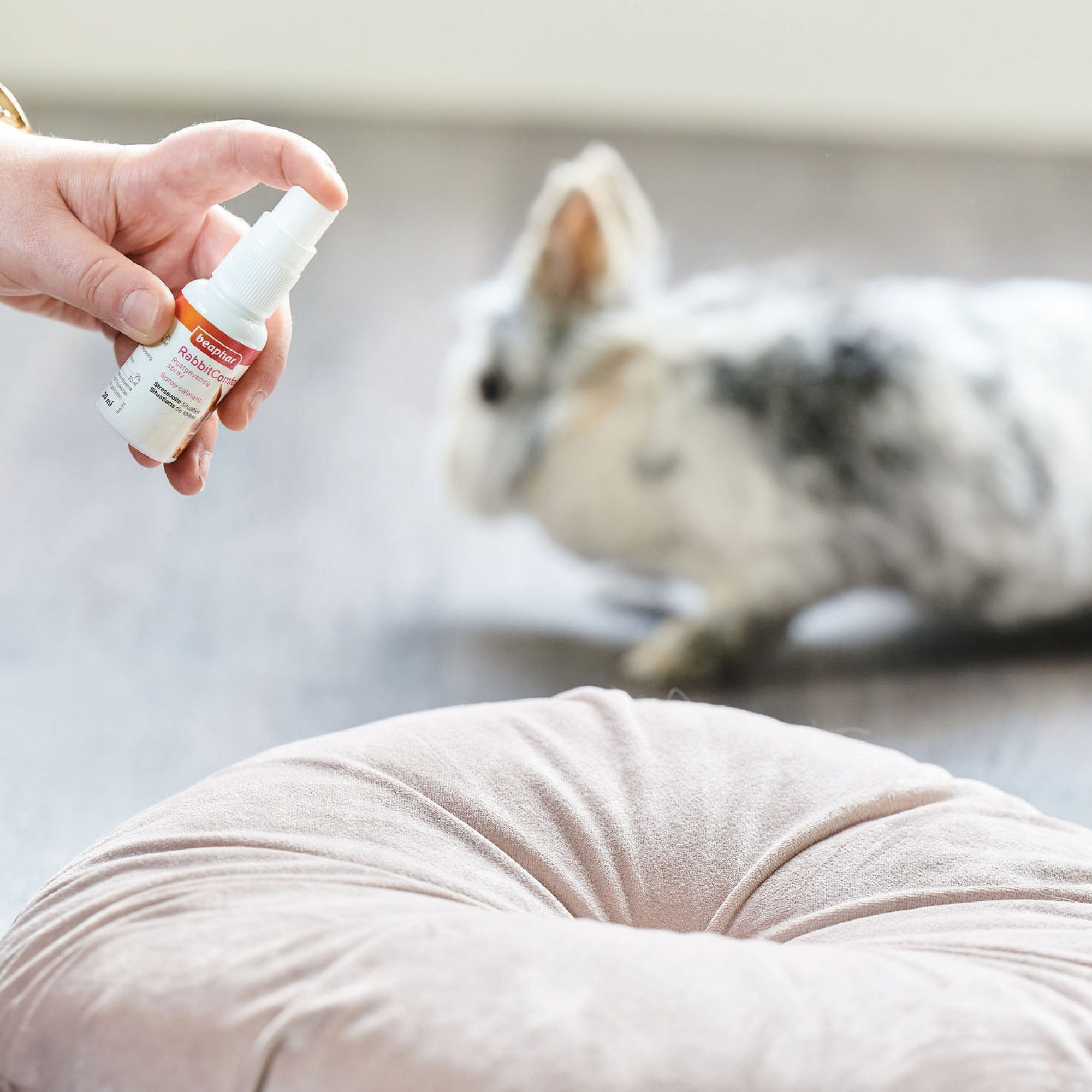 RabbitComfort® nyugtató hatású feromonos spray nyulaknak