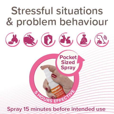 RabbitComfort Calming Spray